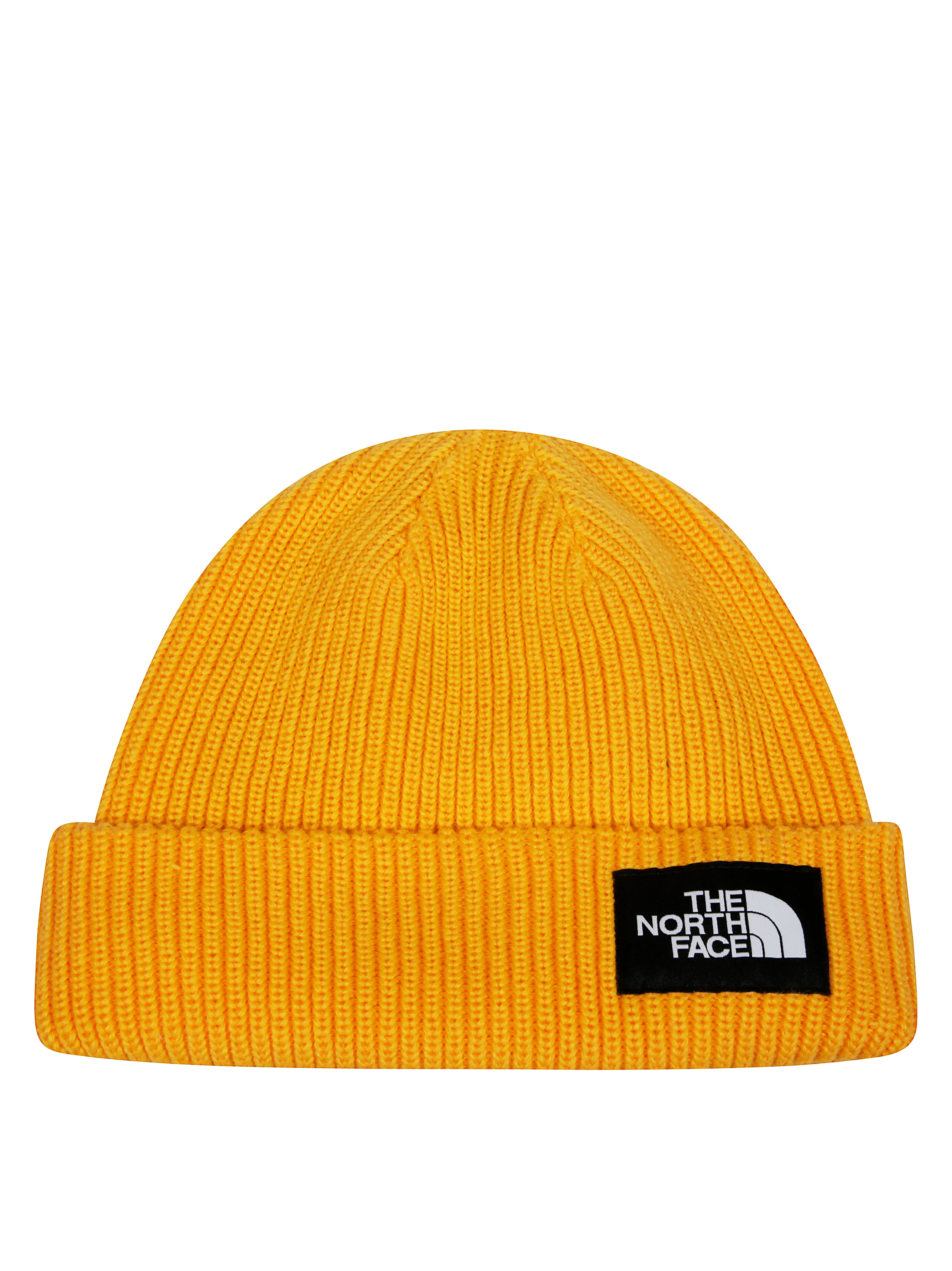 THE NORTH FACE Salty Lined Beanie for Women