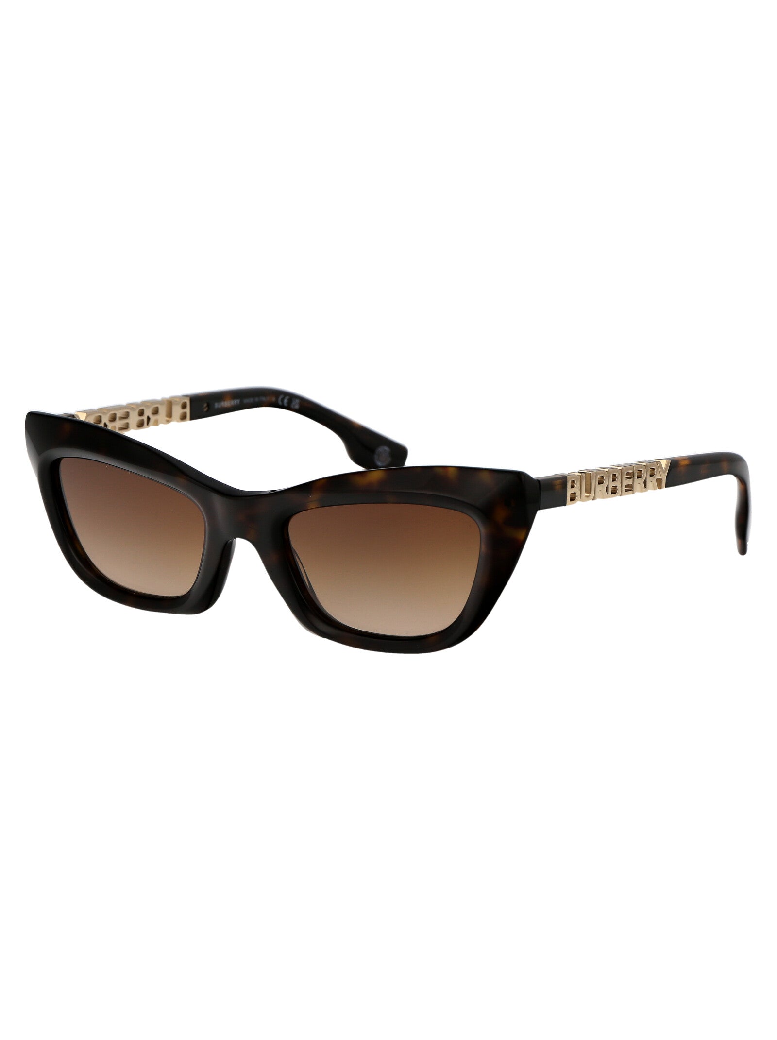 BURBERRY Chic Acetate Sunglasses