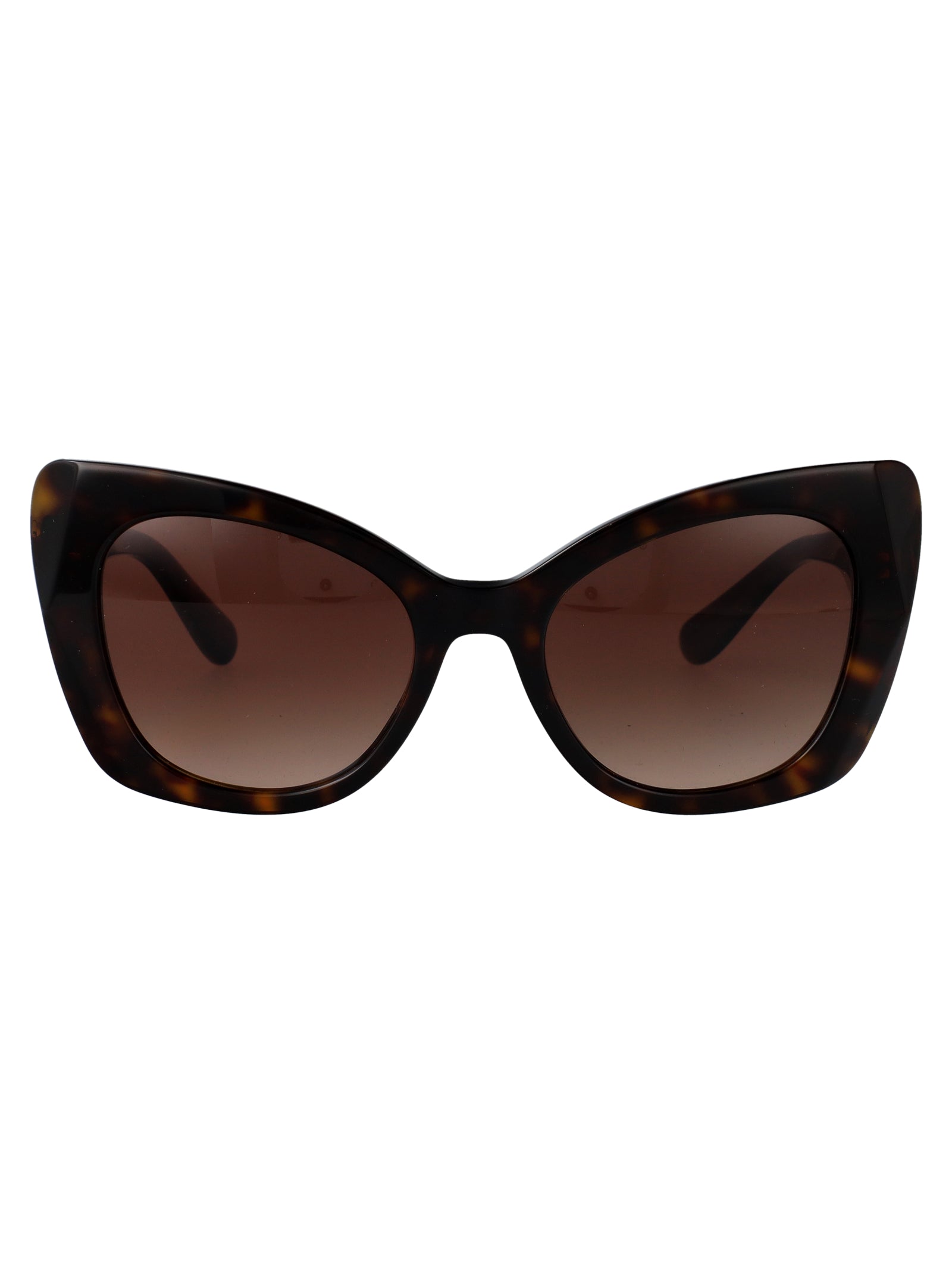 DOLCE & GABBANA Havana Acetate Sunglasses