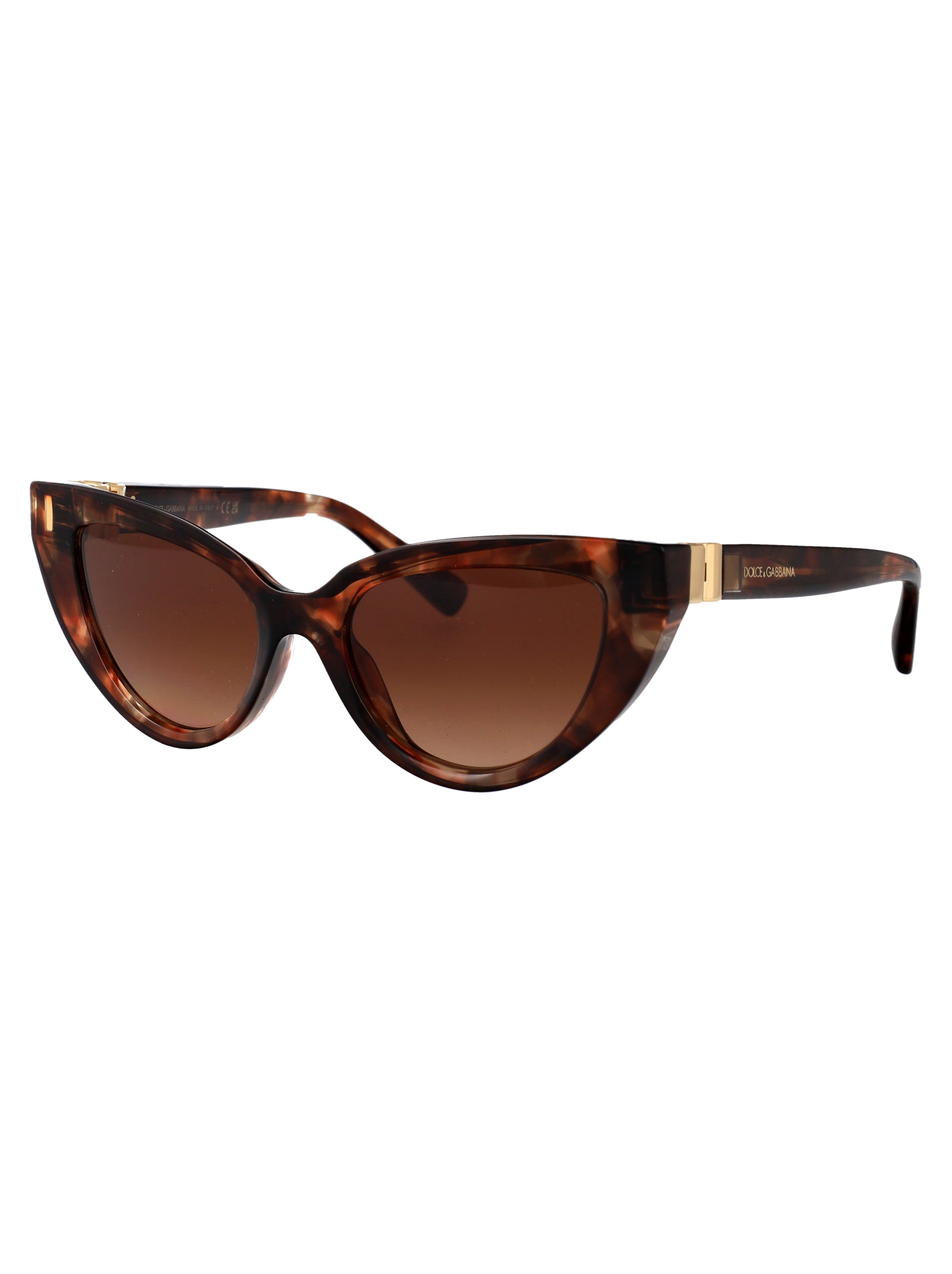 DOLCE & GABBANA Chic Acetate Sunglasses for Women