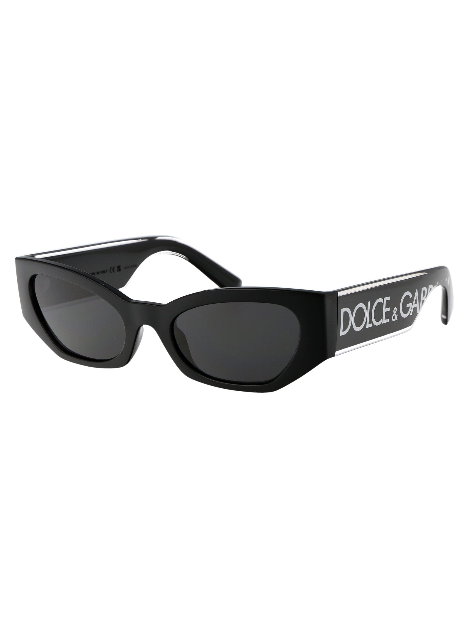 DOLCE & GABBANA Injected Women's Sunglasses