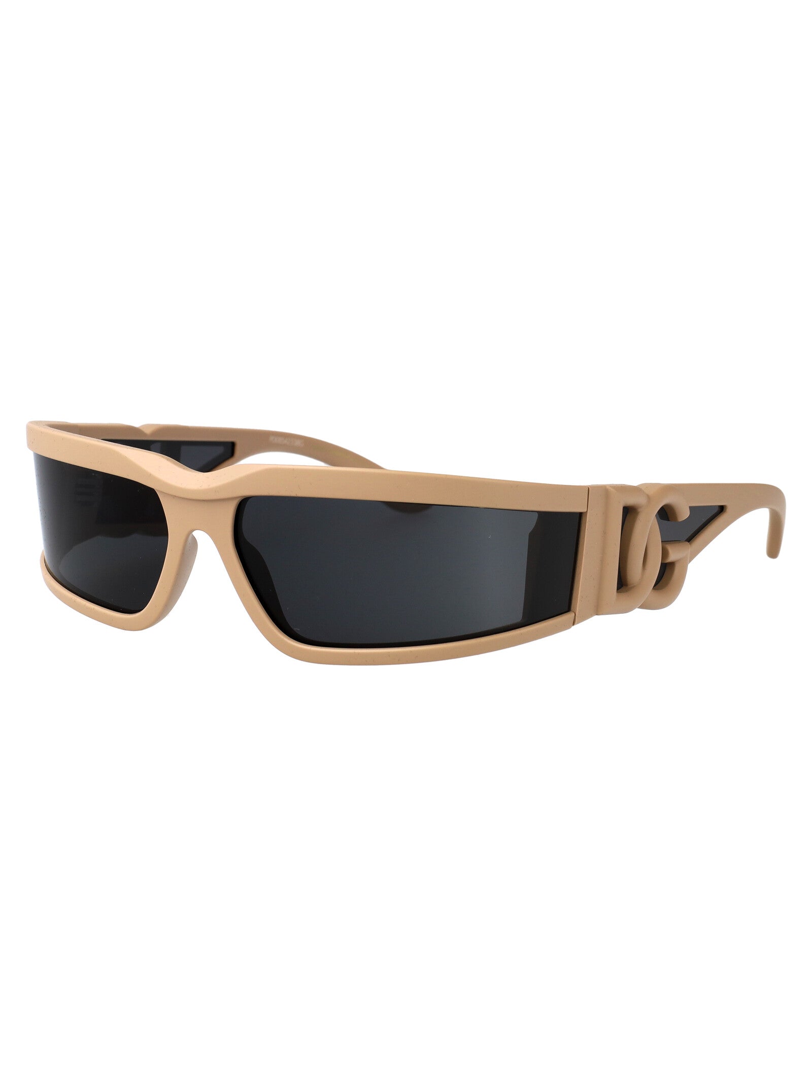 DOLCE & GABBANA Injected Unisex Sunglasses