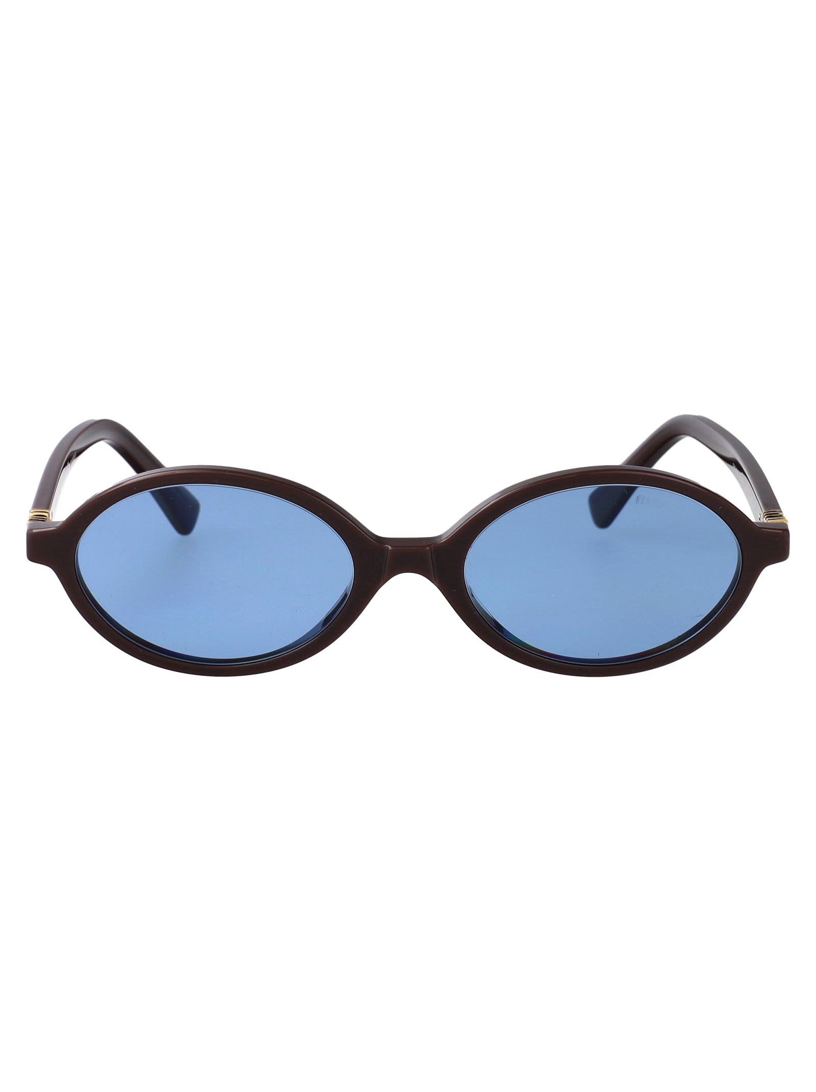 MIU MIU Chic Acetate Moka Sunglasses for Women