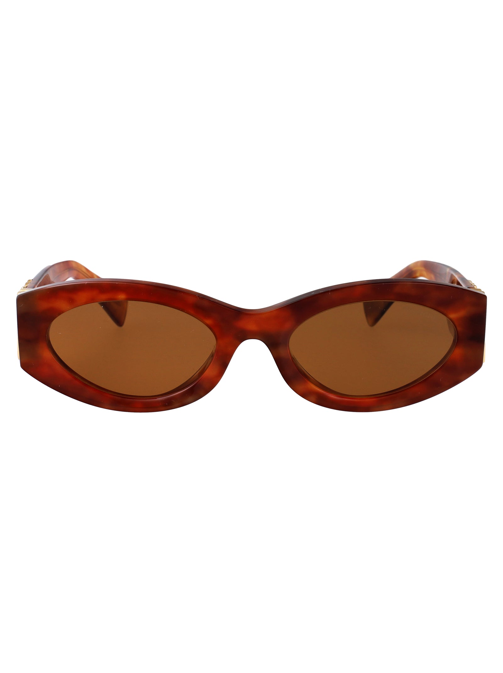 MIU MIU Havana Acetate Sunglasses for Women