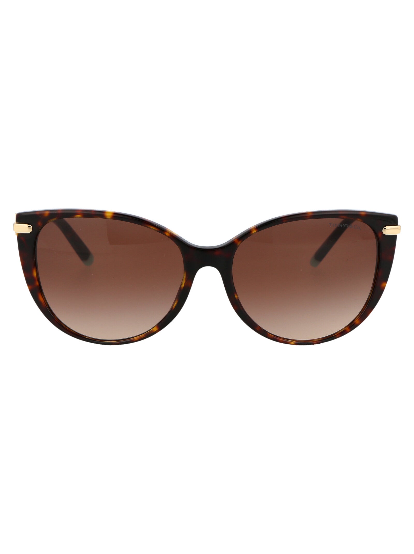 TIFFANY & CO Chic Acetate Sunglasses for Women - SS25 Collection