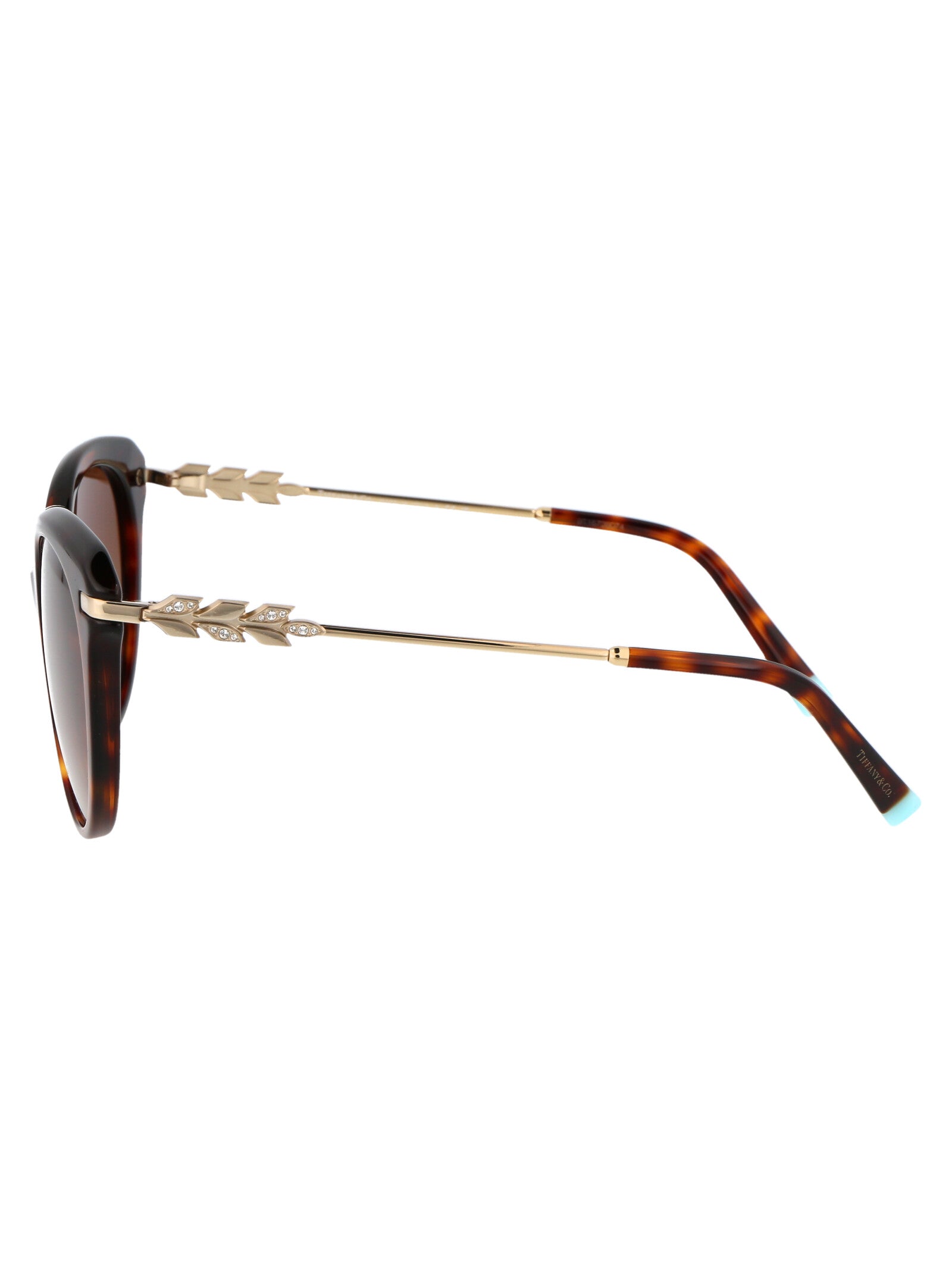 TIFFANY & CO Chic Acetate Sunglasses for Women - Perfect for SS25