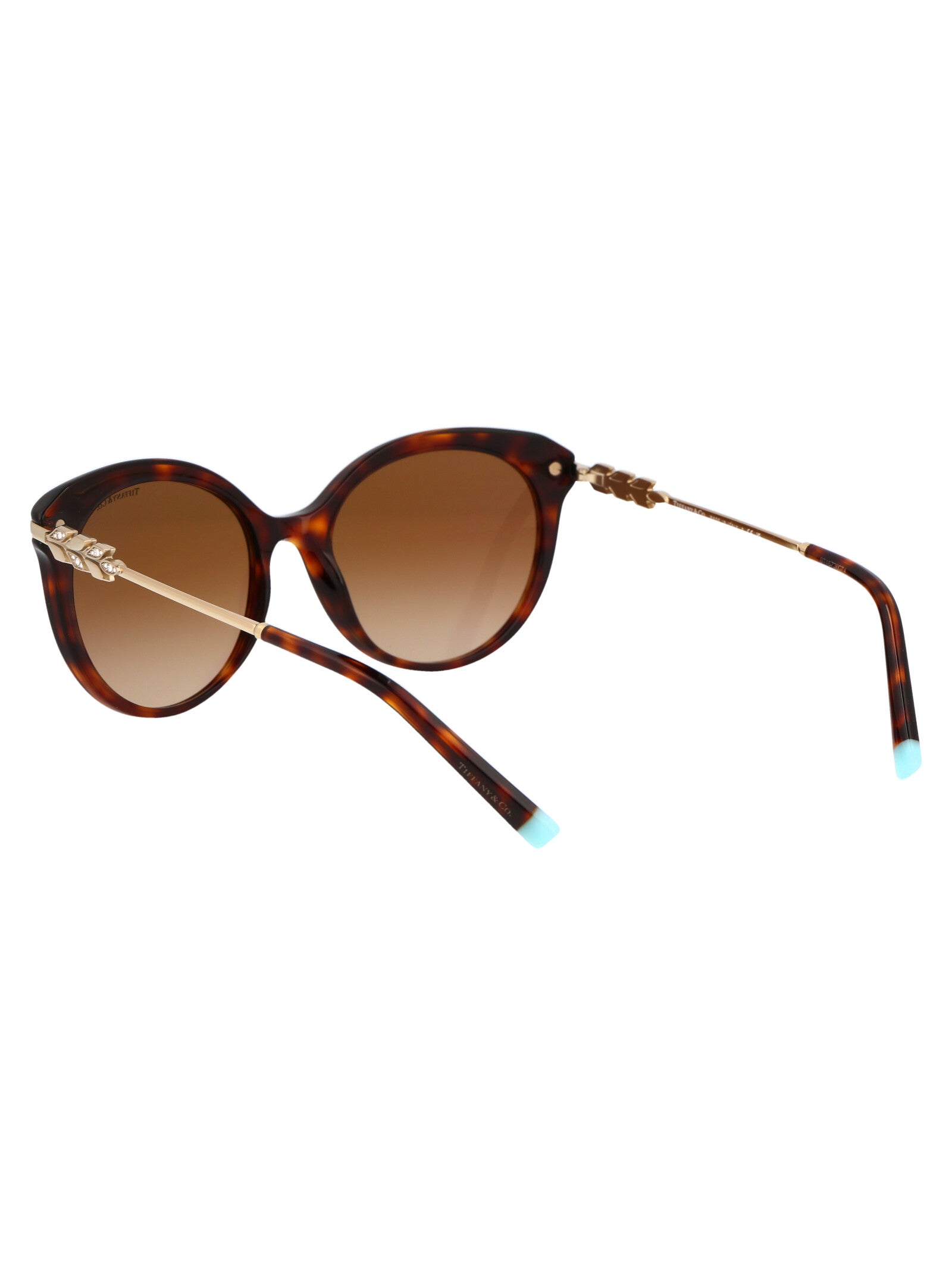 TIFFANY & CO Chic Acetate Sunglasses for Women - Perfect for SS25