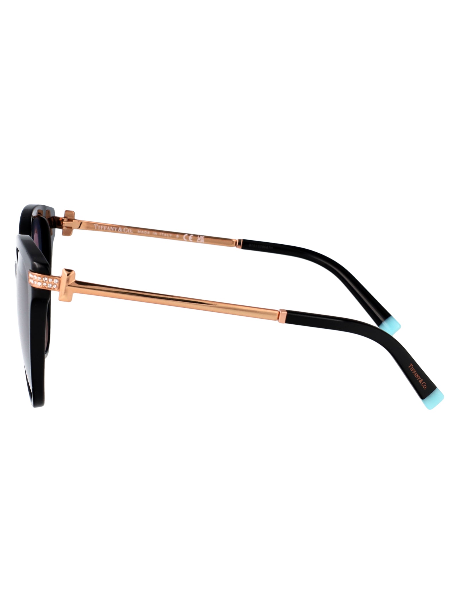 TIFFANY & CO Chic Acetate Sunglasses for Women