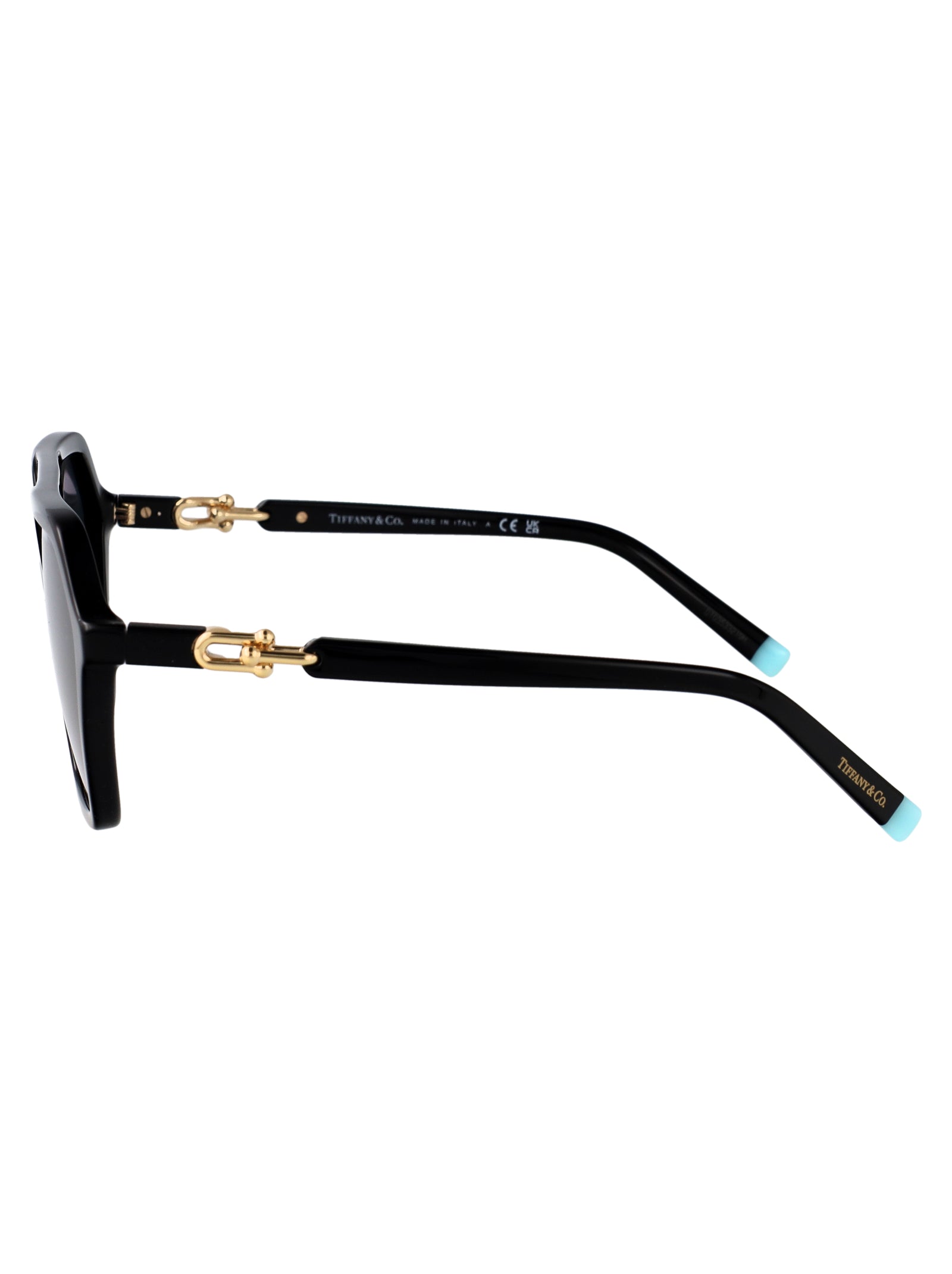 TIFFANY & CO Chic Acetate Sunglasses for Women