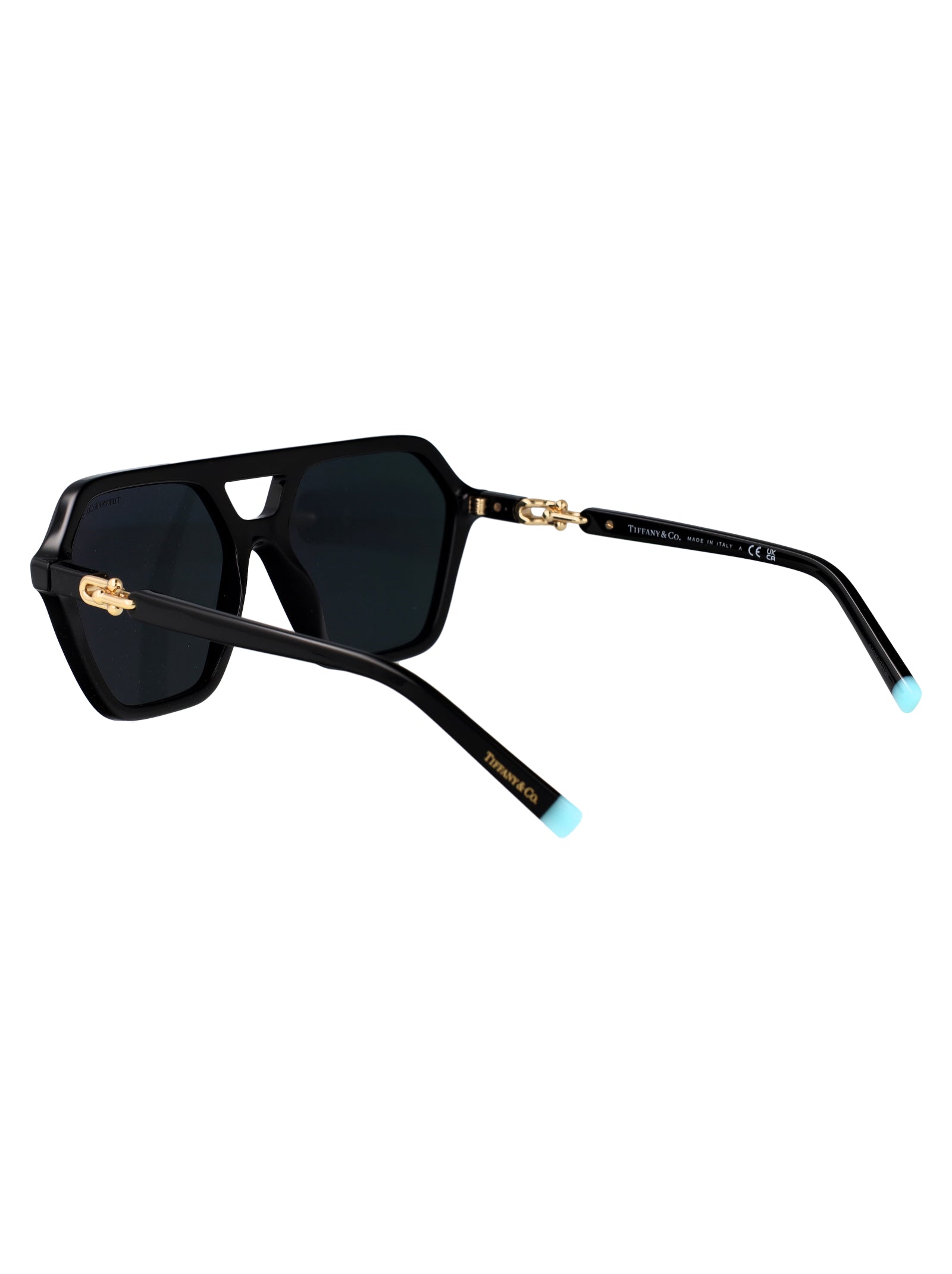 TIFFANY & CO Chic Acetate Sunglasses for Women