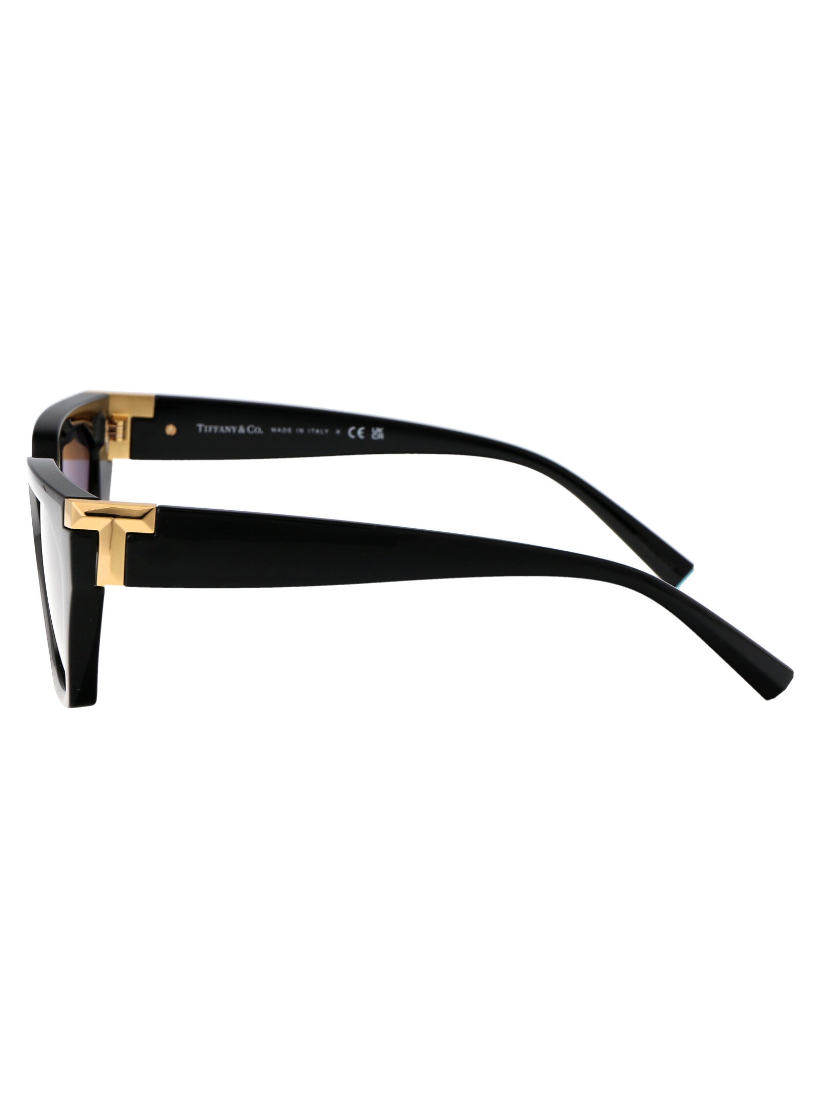 TIFFANY & CO Injectable Women's Sunglasses