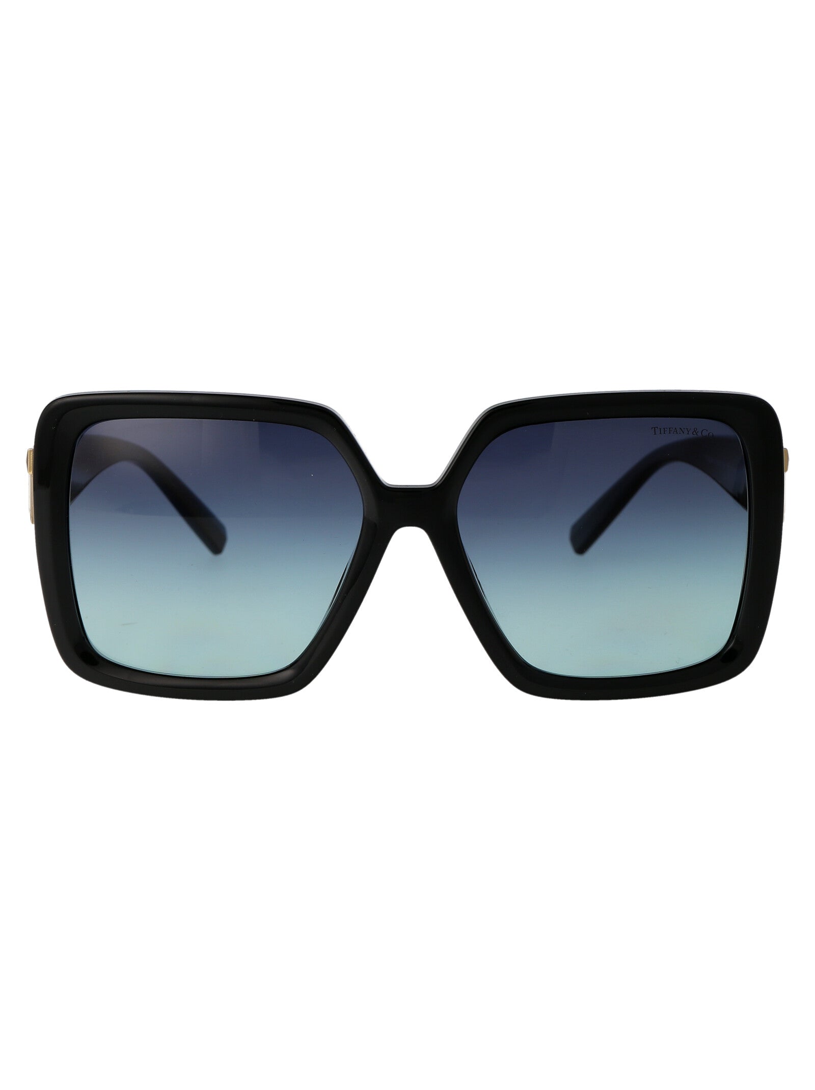 TIFFANY & CO Injected Women's Sunglasses