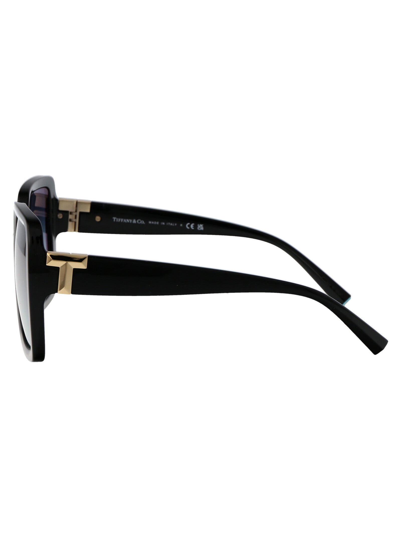 TIFFANY & CO Injected Women's Sunglasses