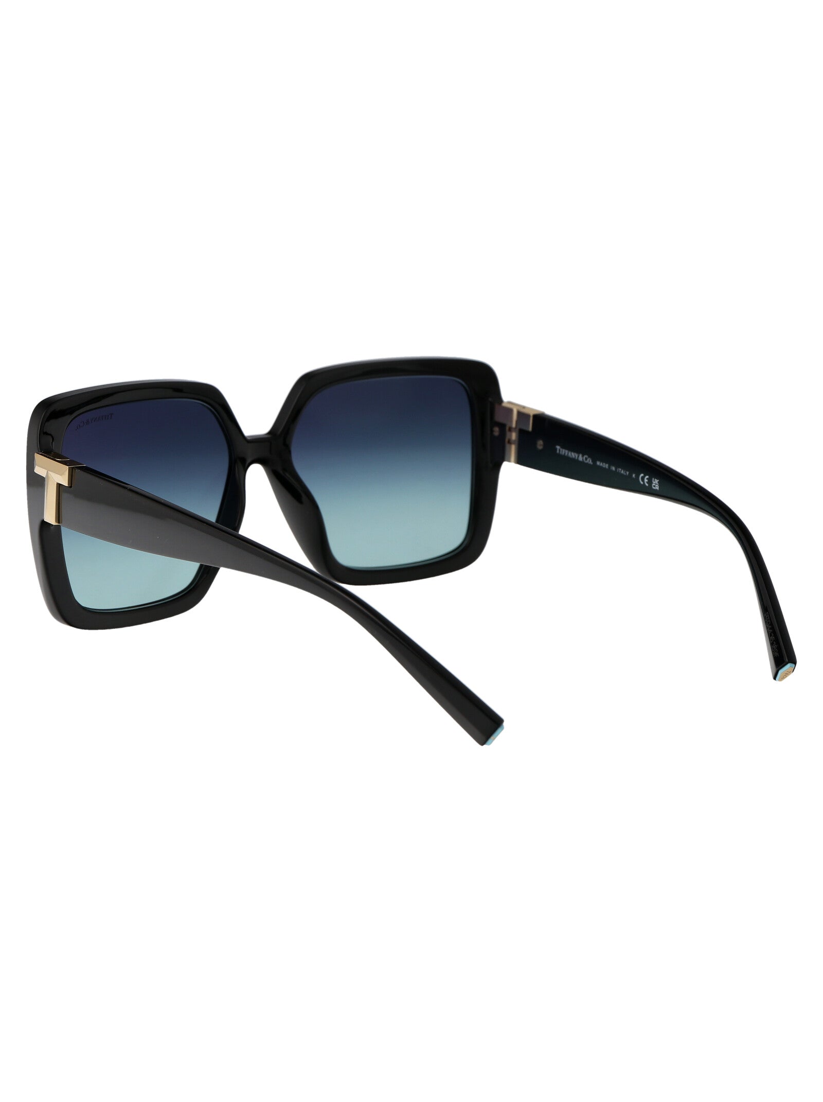 TIFFANY & CO Injected Women's Sunglasses
