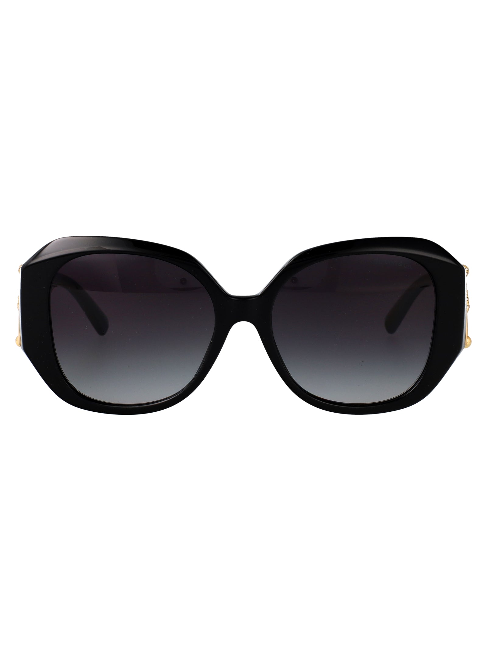 TIFFANY & CO Chic Acetate Sunglasses for Women