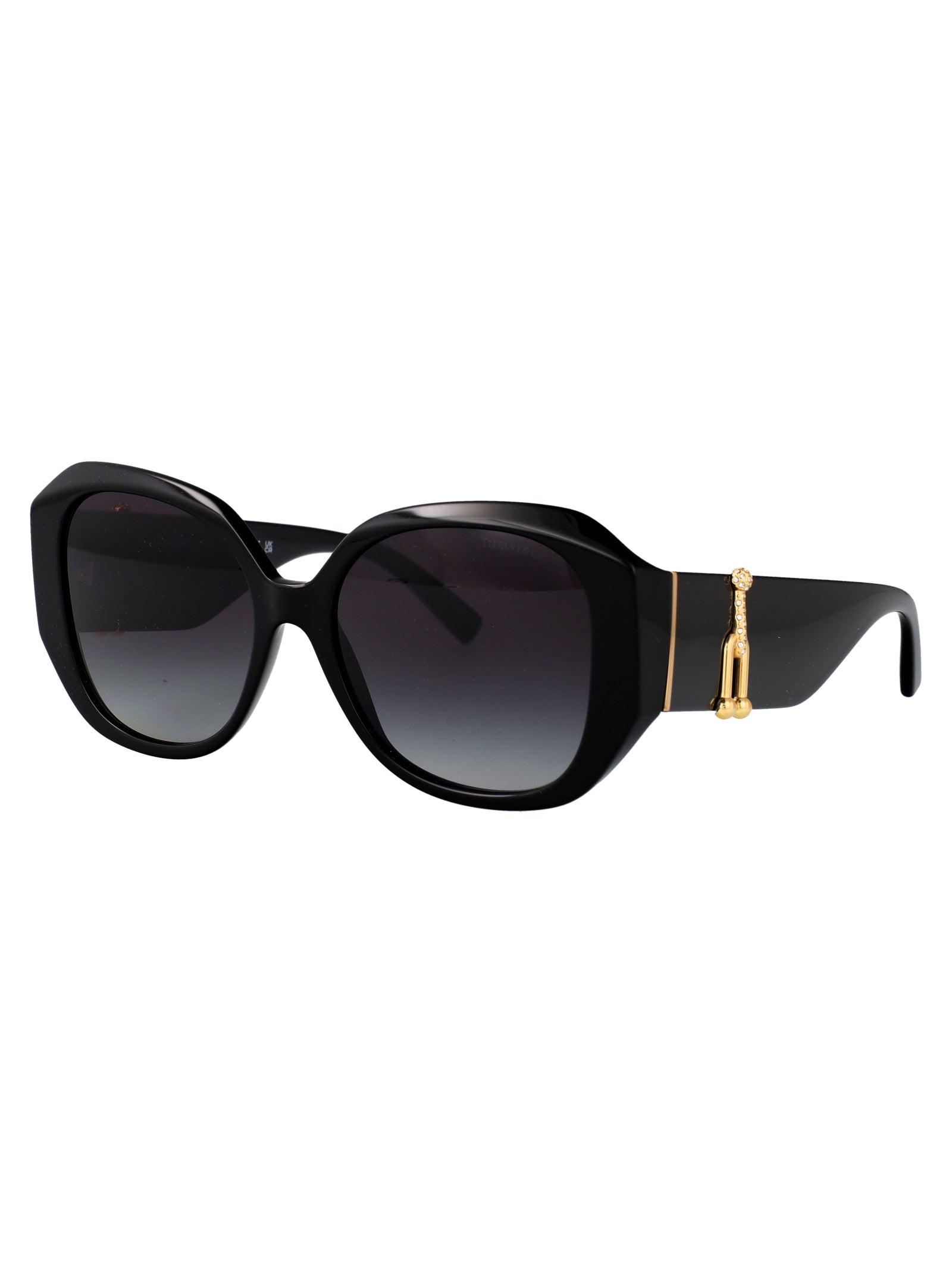 TIFFANY & CO Chic Acetate Sunglasses for Women