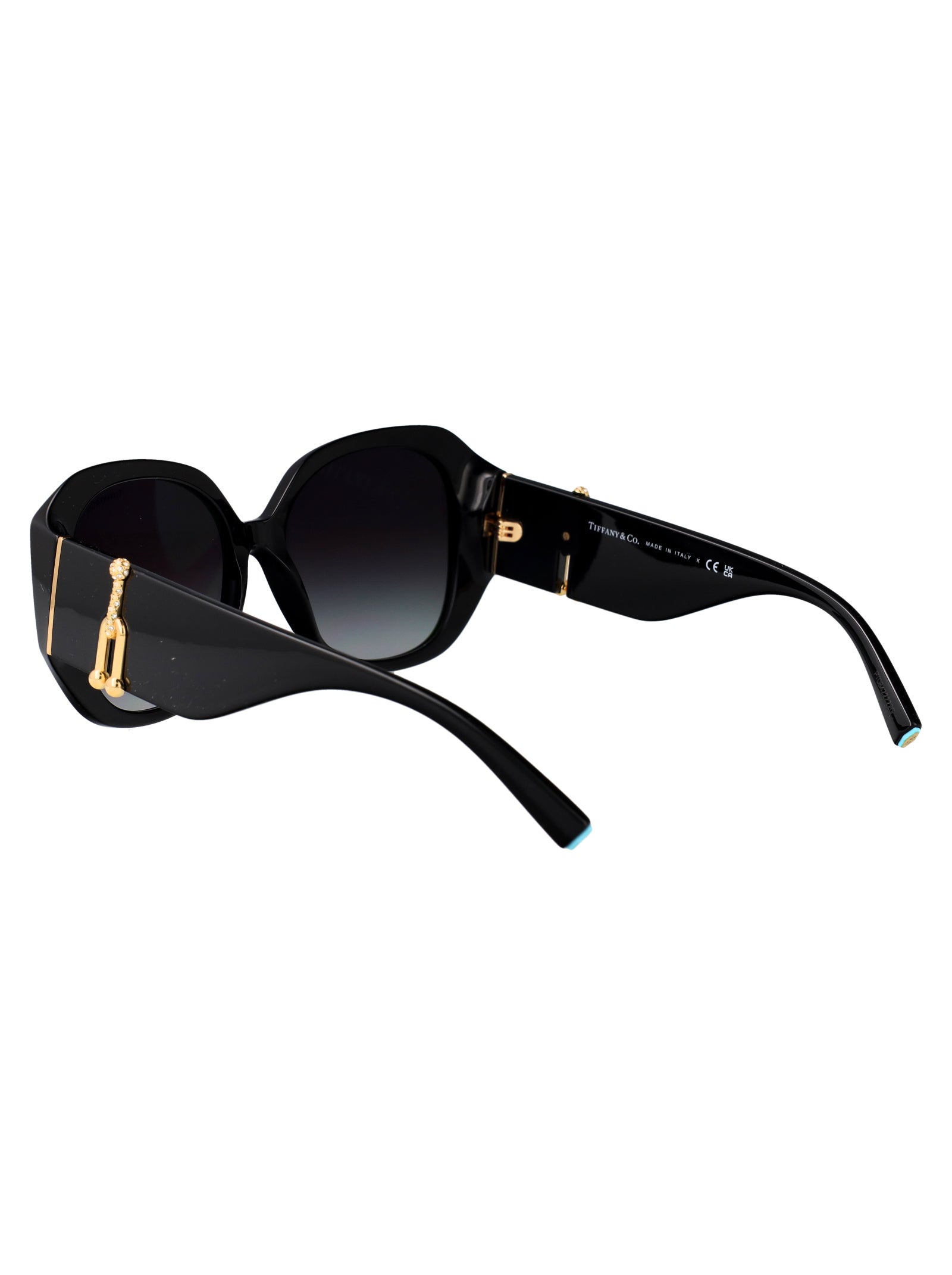 TIFFANY & CO Chic Acetate Sunglasses for Women