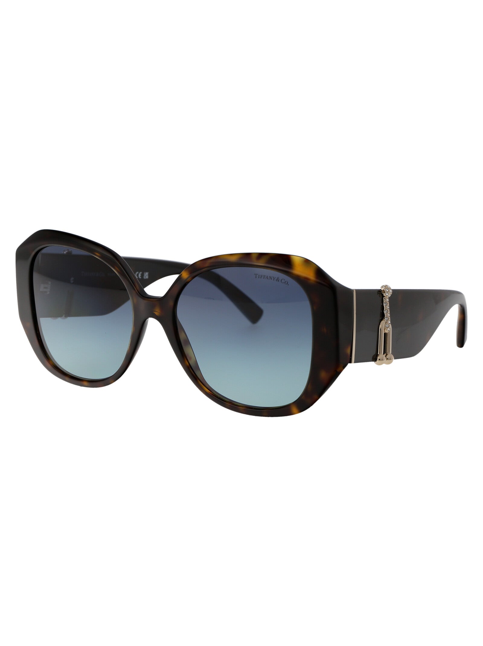 TIFFANY & CO Chic Acetate Sunglasses for Women