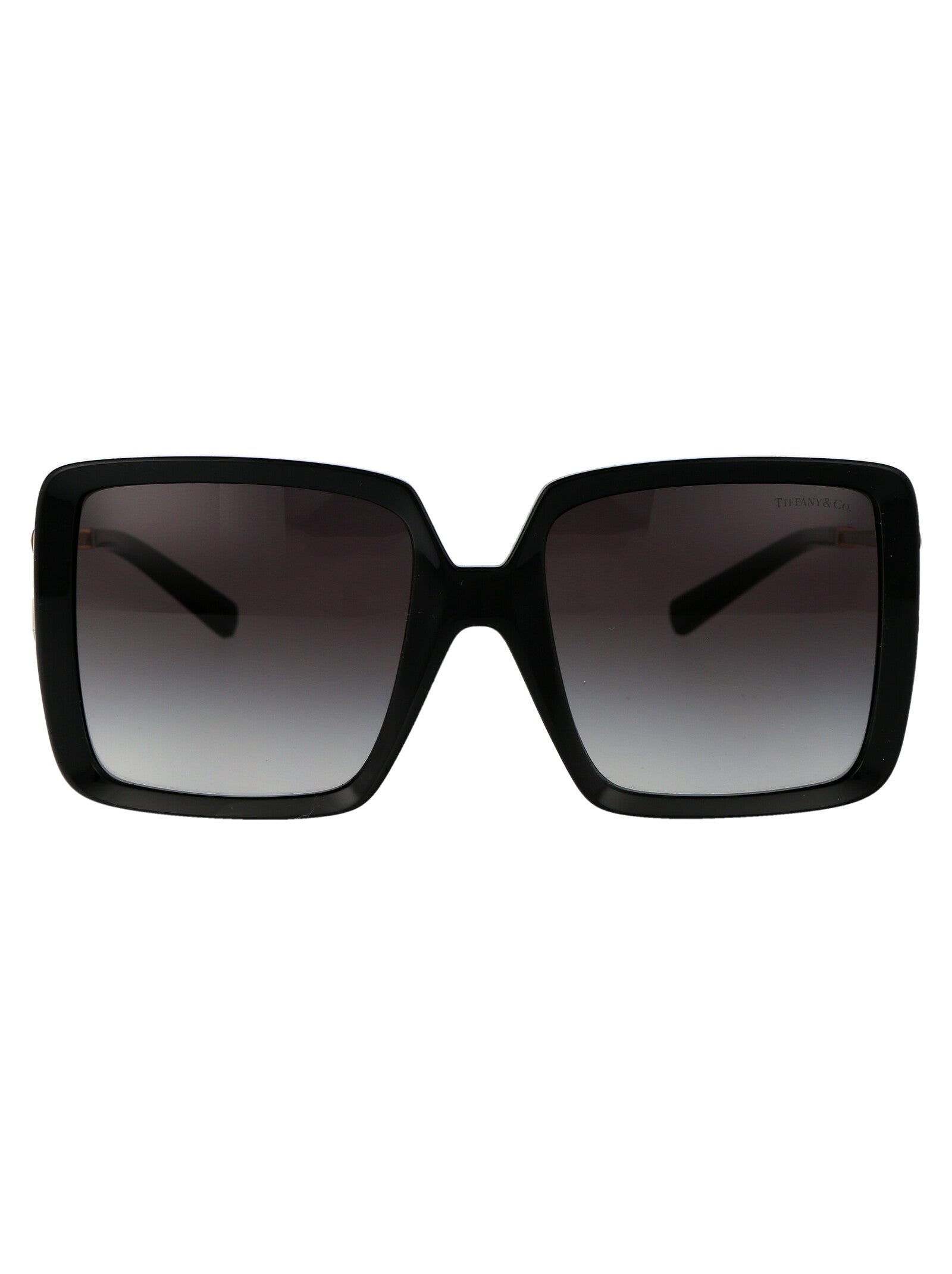 TIFFANY & CO Injected Women's Sunglasses