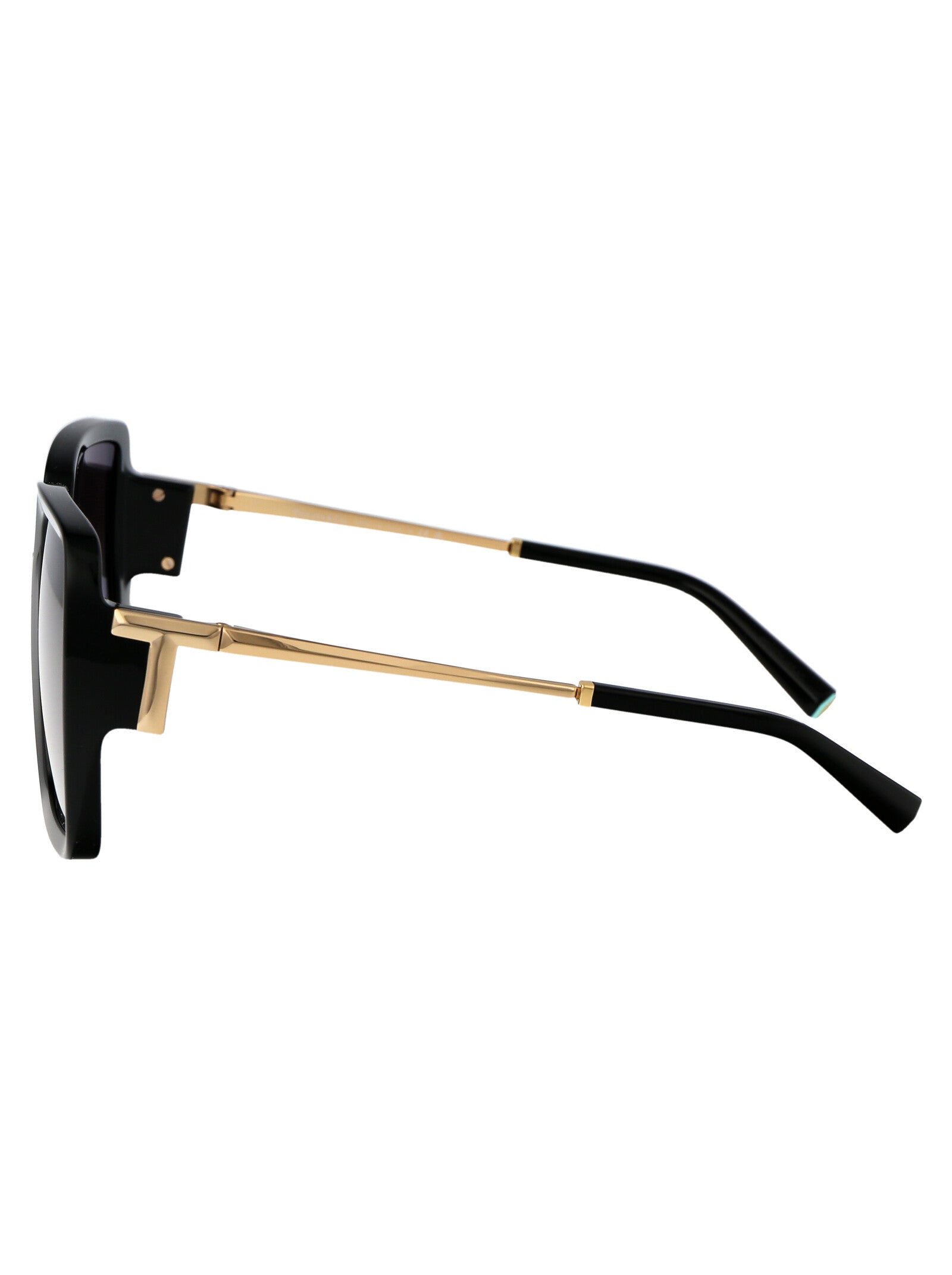 TIFFANY & CO Injected Women's Sunglasses
