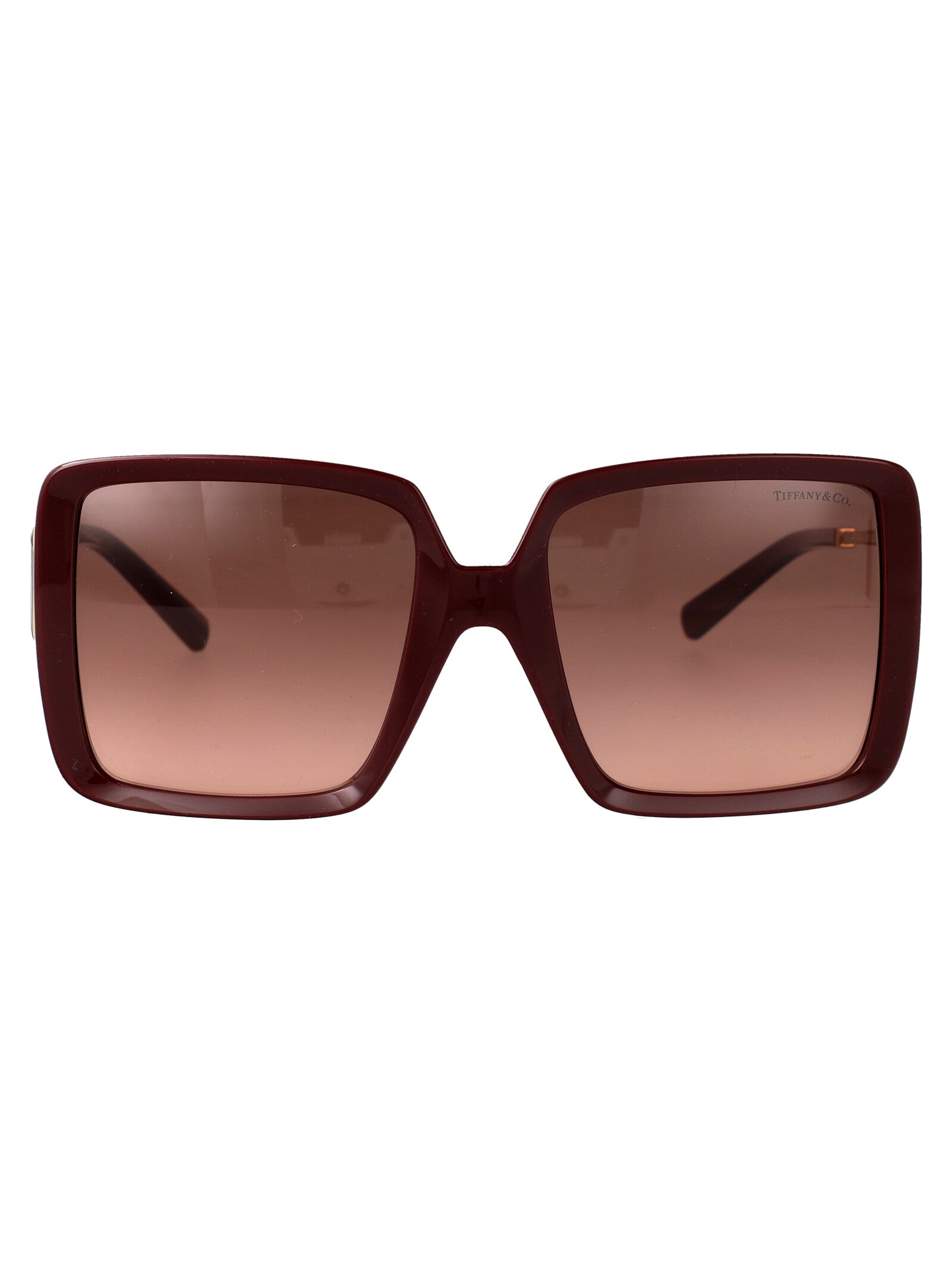 TIFFANY & CO Injected Sunglasses for Women - SS25 Collection