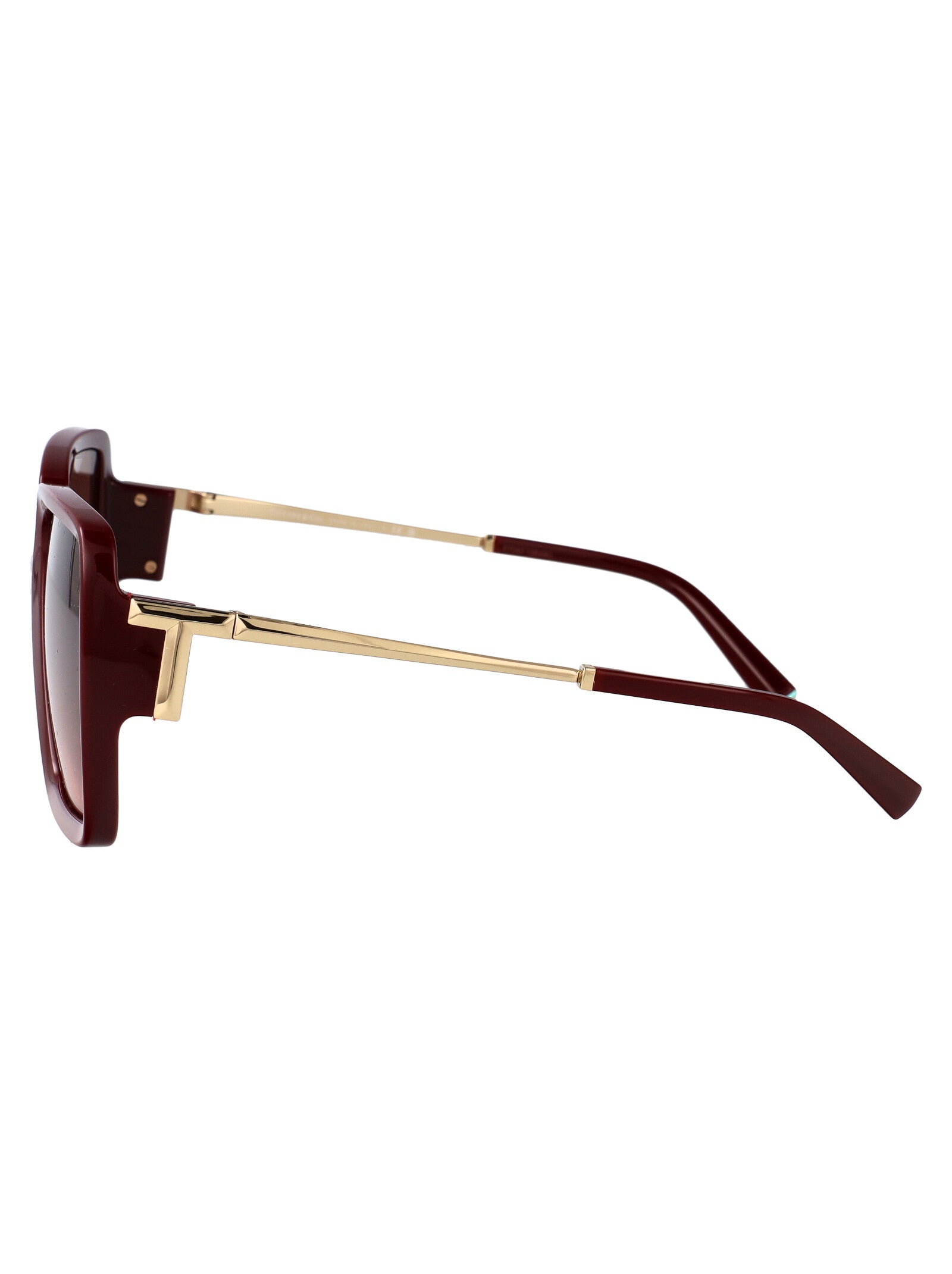 TIFFANY & CO Injected Sunglasses for Women - SS25 Collection