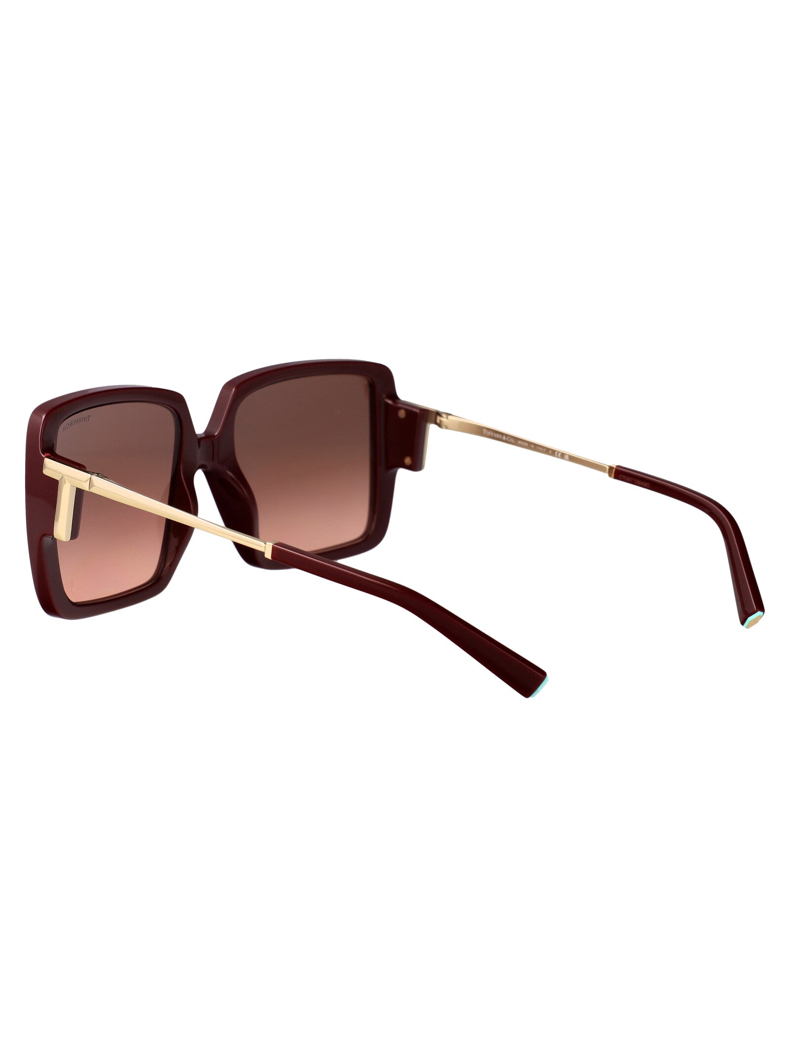 TIFFANY & CO Injected Sunglasses for Women - SS25 Collection