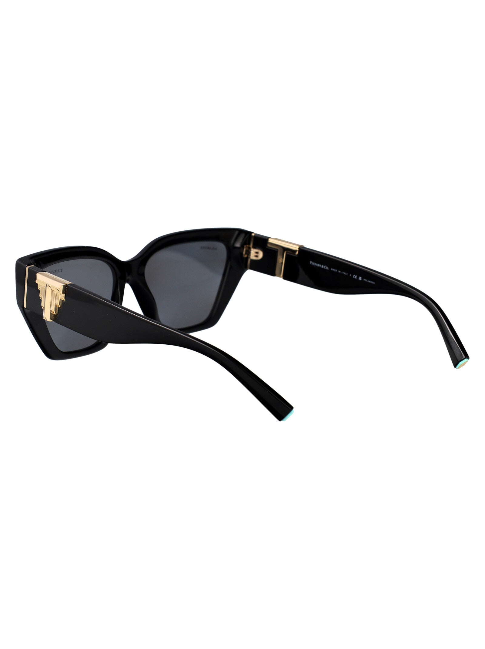 TIFFANY & CO Chic Acetate Sunglasses for Women