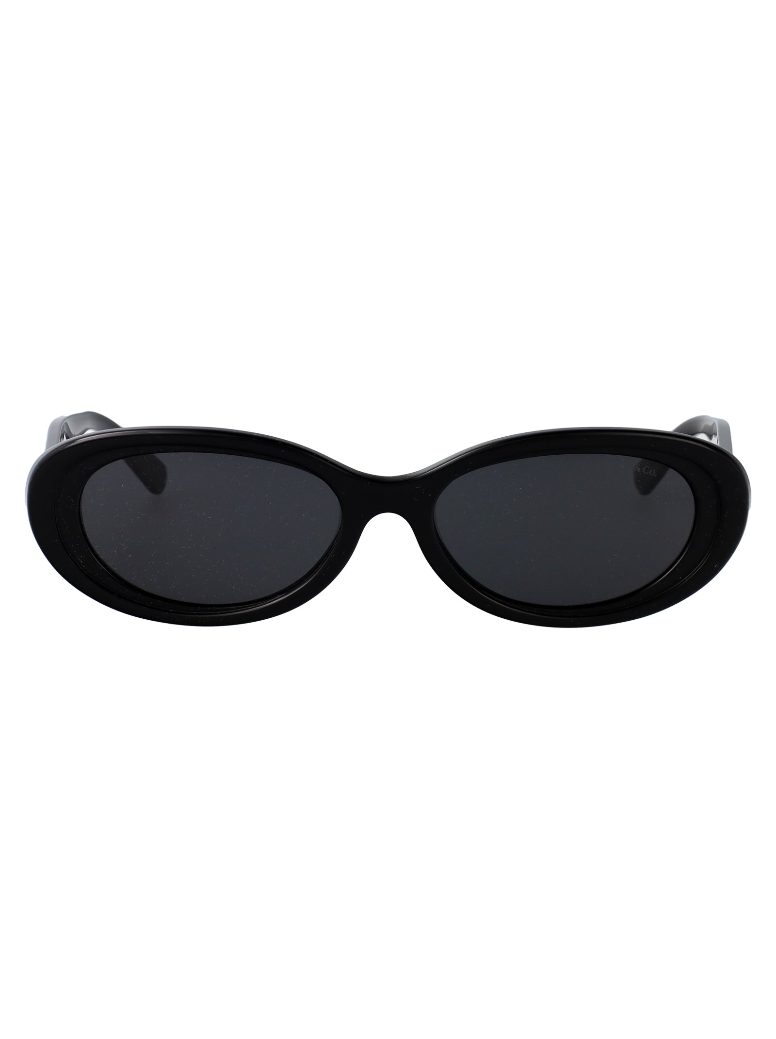 TIFFANY & CO Chic Acetate Sunglasses for Women