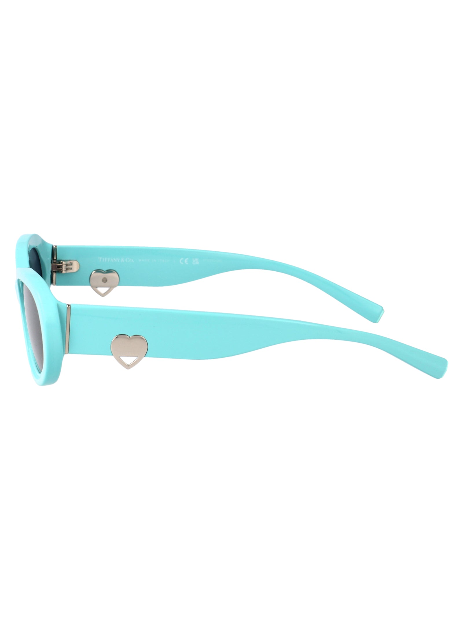 TIFFANY & CO Acetate Sunglasses for Women - Spring/Summer 2025