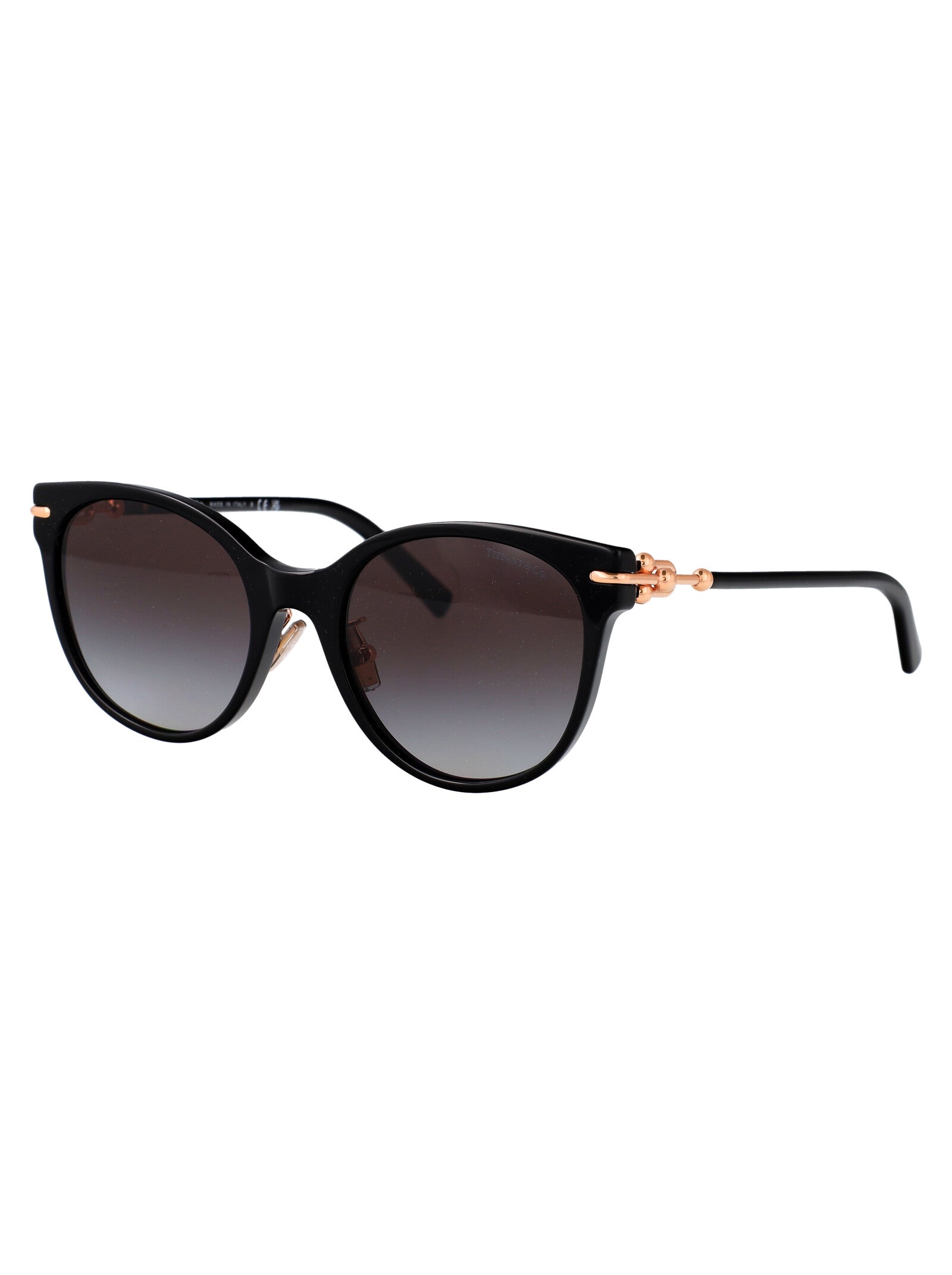 TIFFANY & CO Chic Acetate Sunglasses for Women