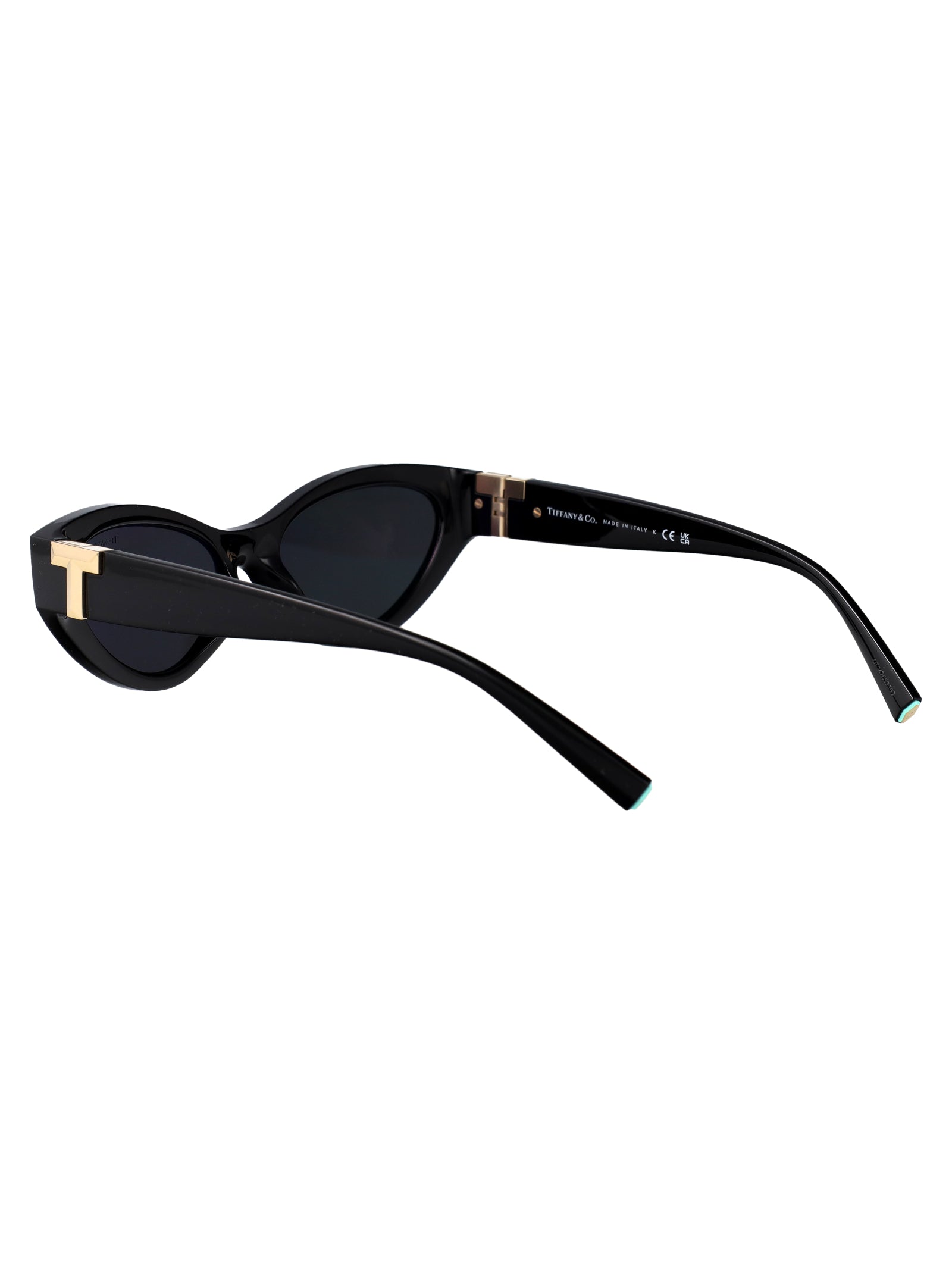TIFFANY & CO Injected Women's Sunglasses