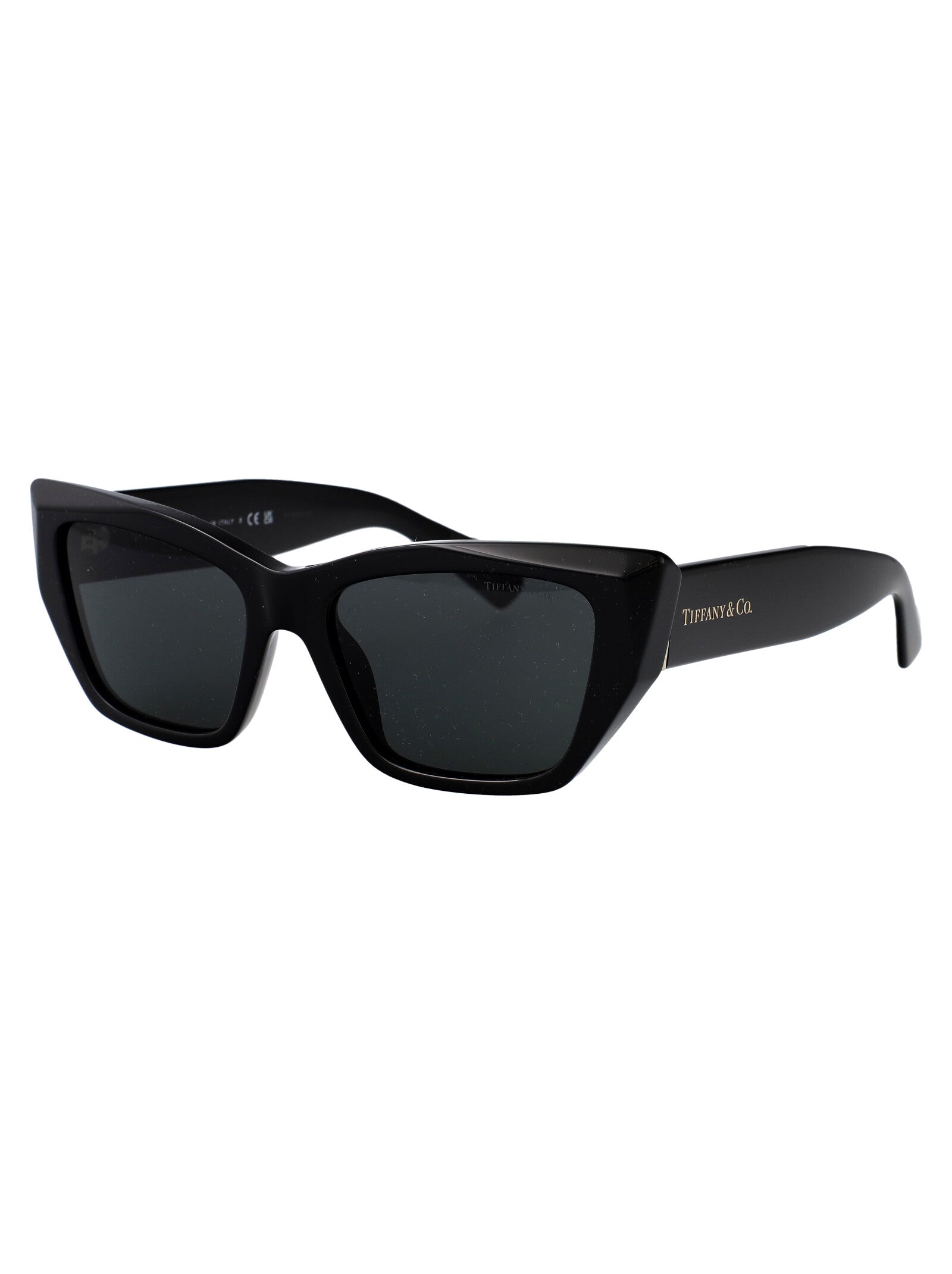 TIFFANY & CO Chic Acetate Sunglasses for Women