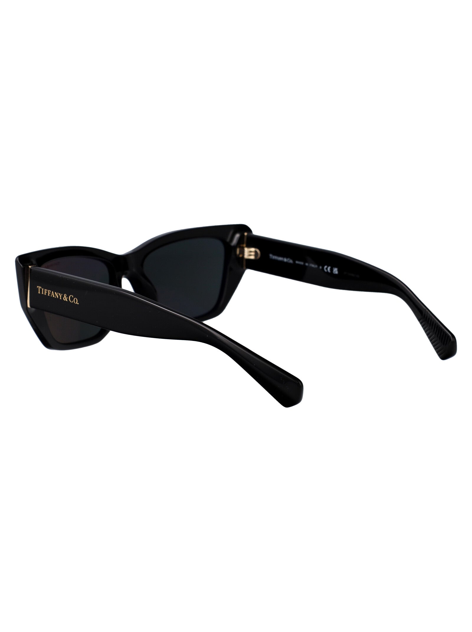 TIFFANY & CO Chic Acetate Sunglasses for Women