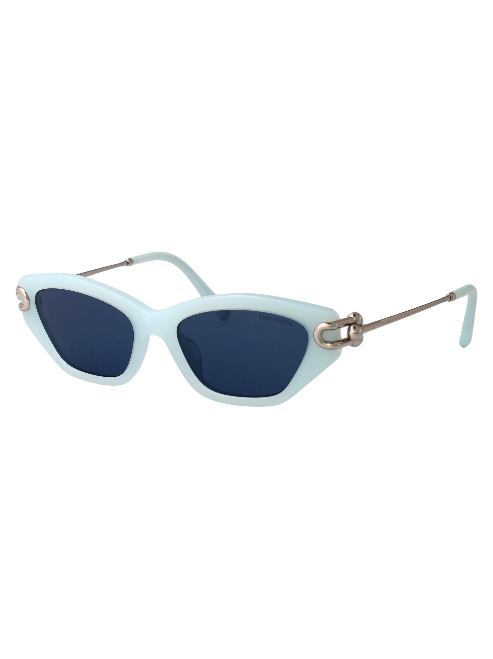 TIFFANY & CO Frosted Acetate Sunglasses for Women