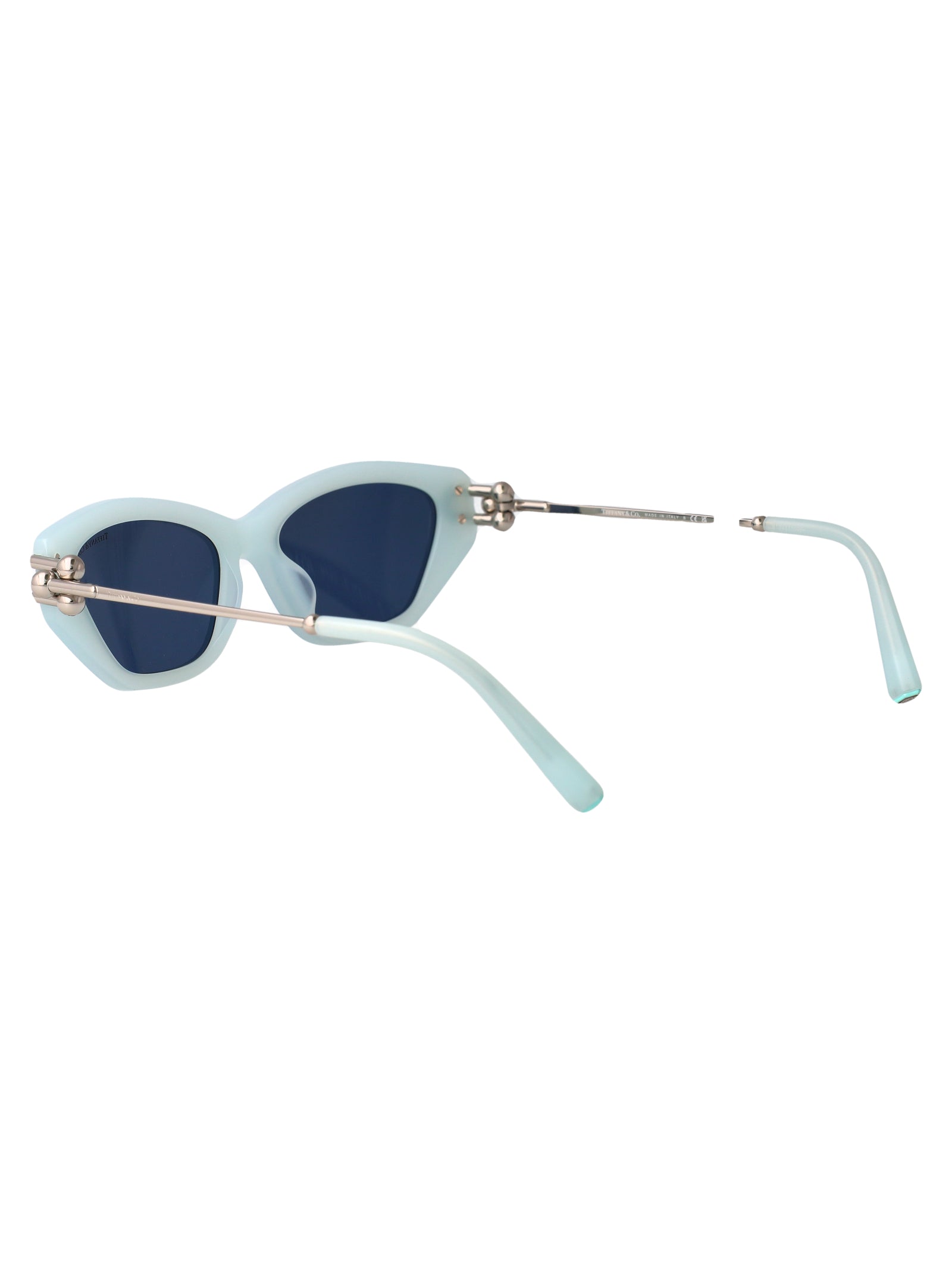 TIFFANY & CO Frosted Acetate Sunglasses for Women