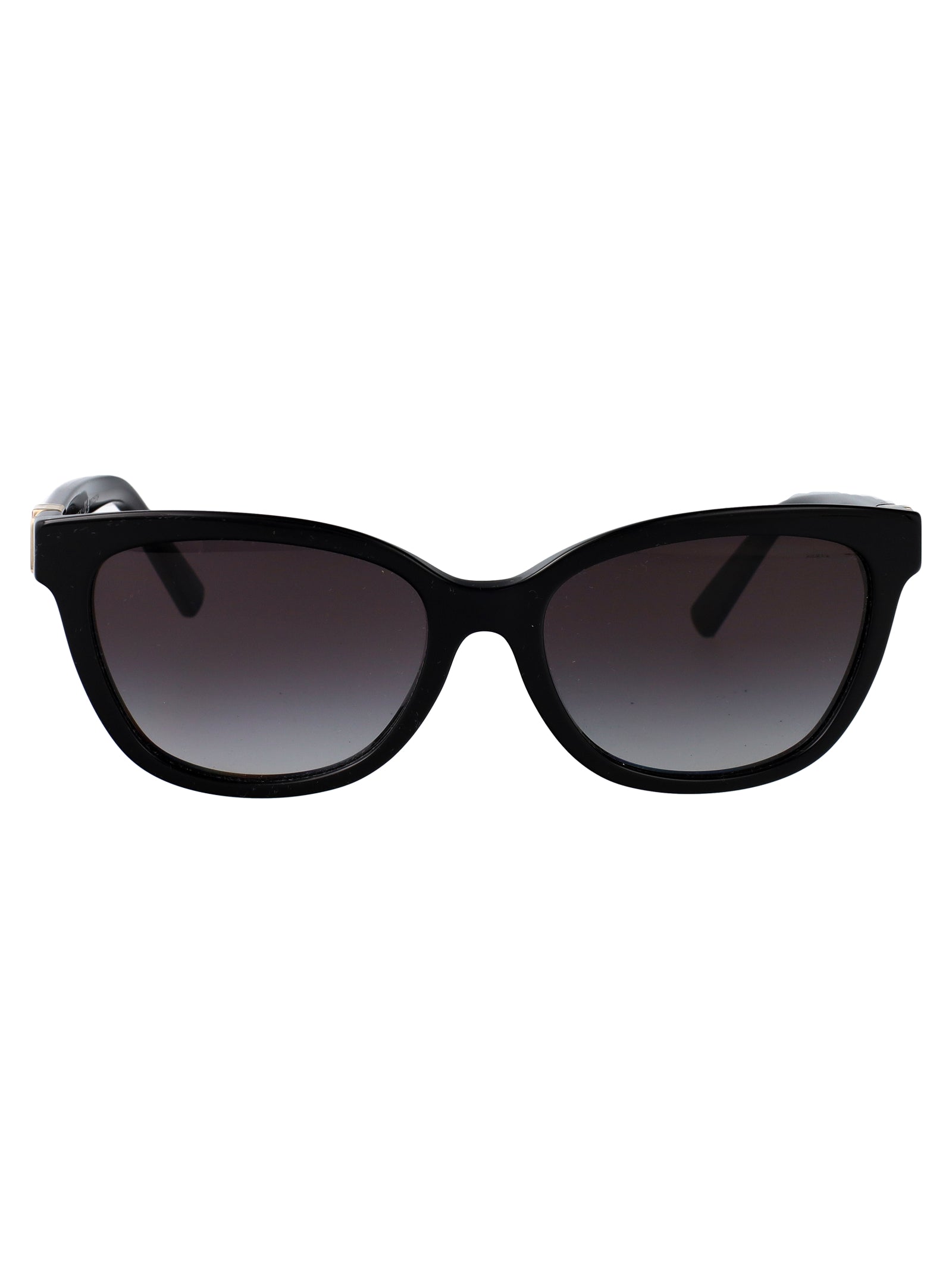 TIFFANY & CO Acetate Women's Sunglasses - SS25 Collection