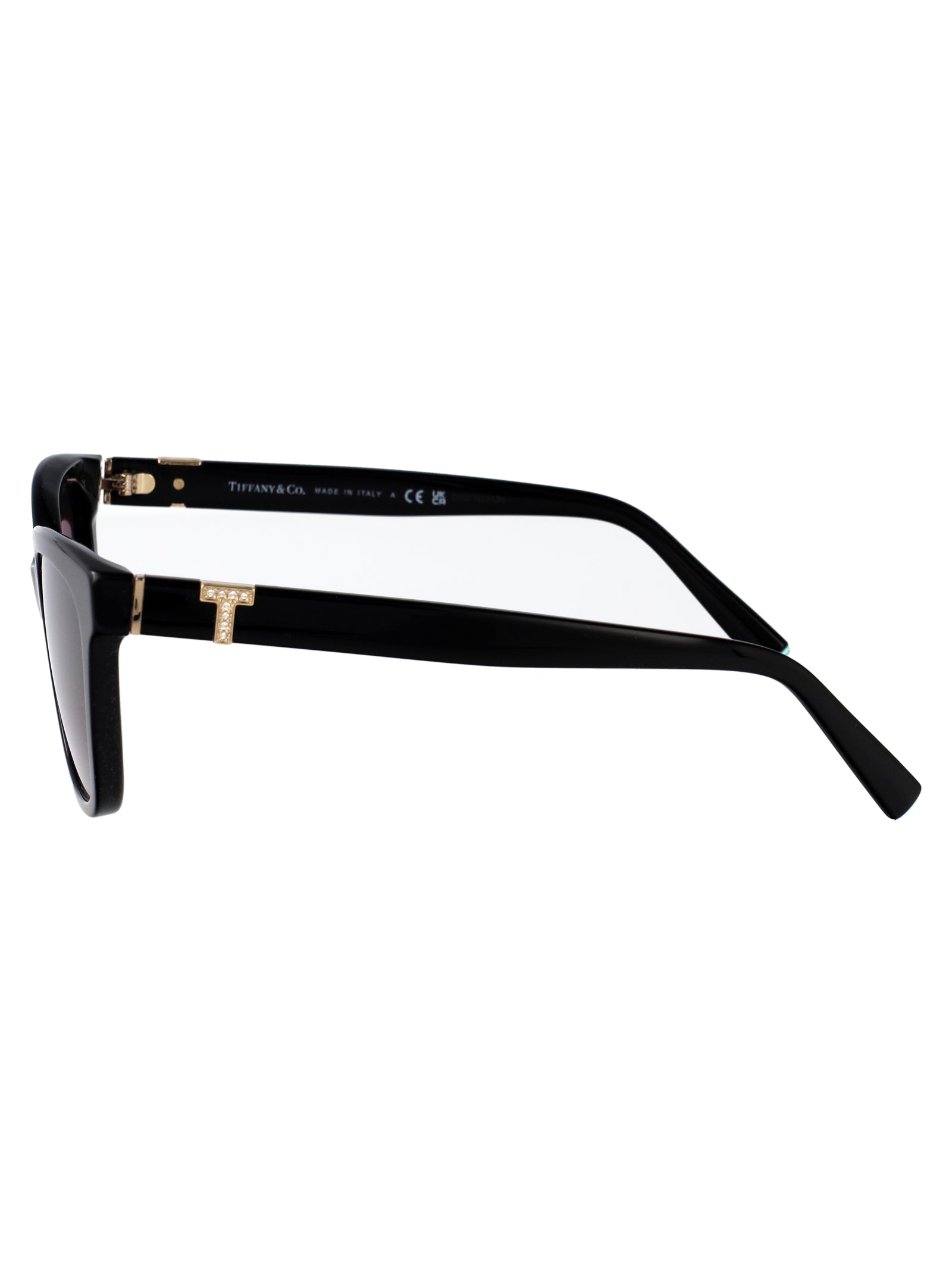 TIFFANY & CO Acetate Women's Sunglasses - SS25 Collection