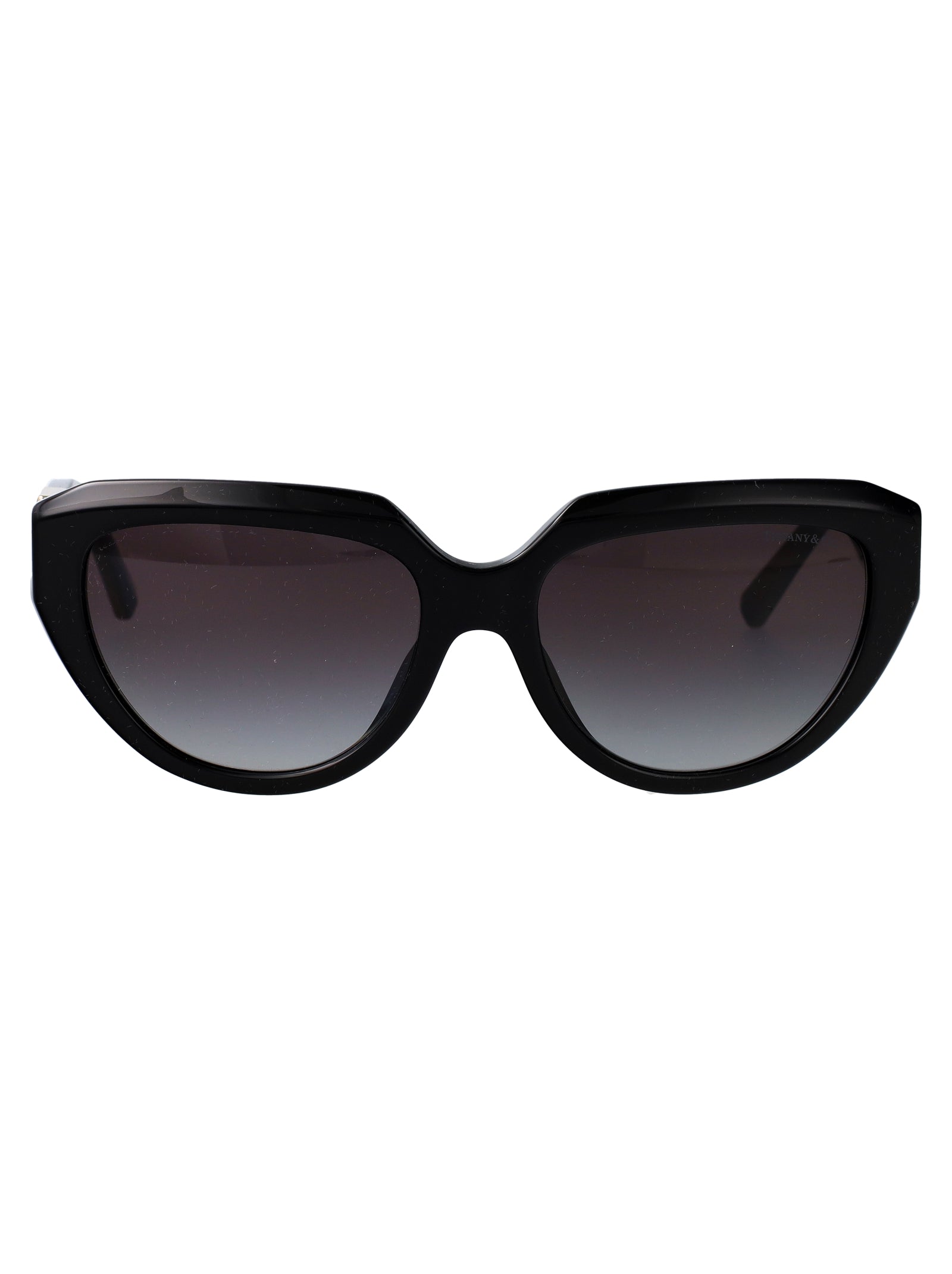 TIFFANY & CO Acetate Sunglasses for Women - FW25 Edition