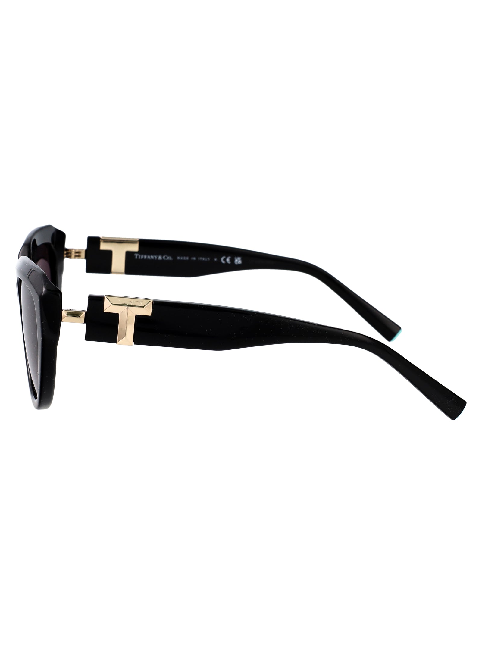 TIFFANY & CO Acetate Sunglasses for Women - FW25 Edition