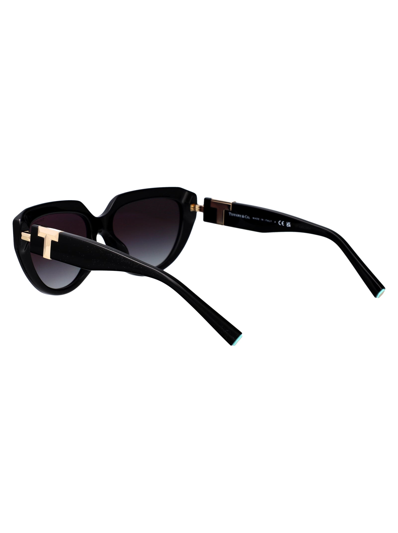 TIFFANY & CO Acetate Sunglasses for Women - FW25 Edition