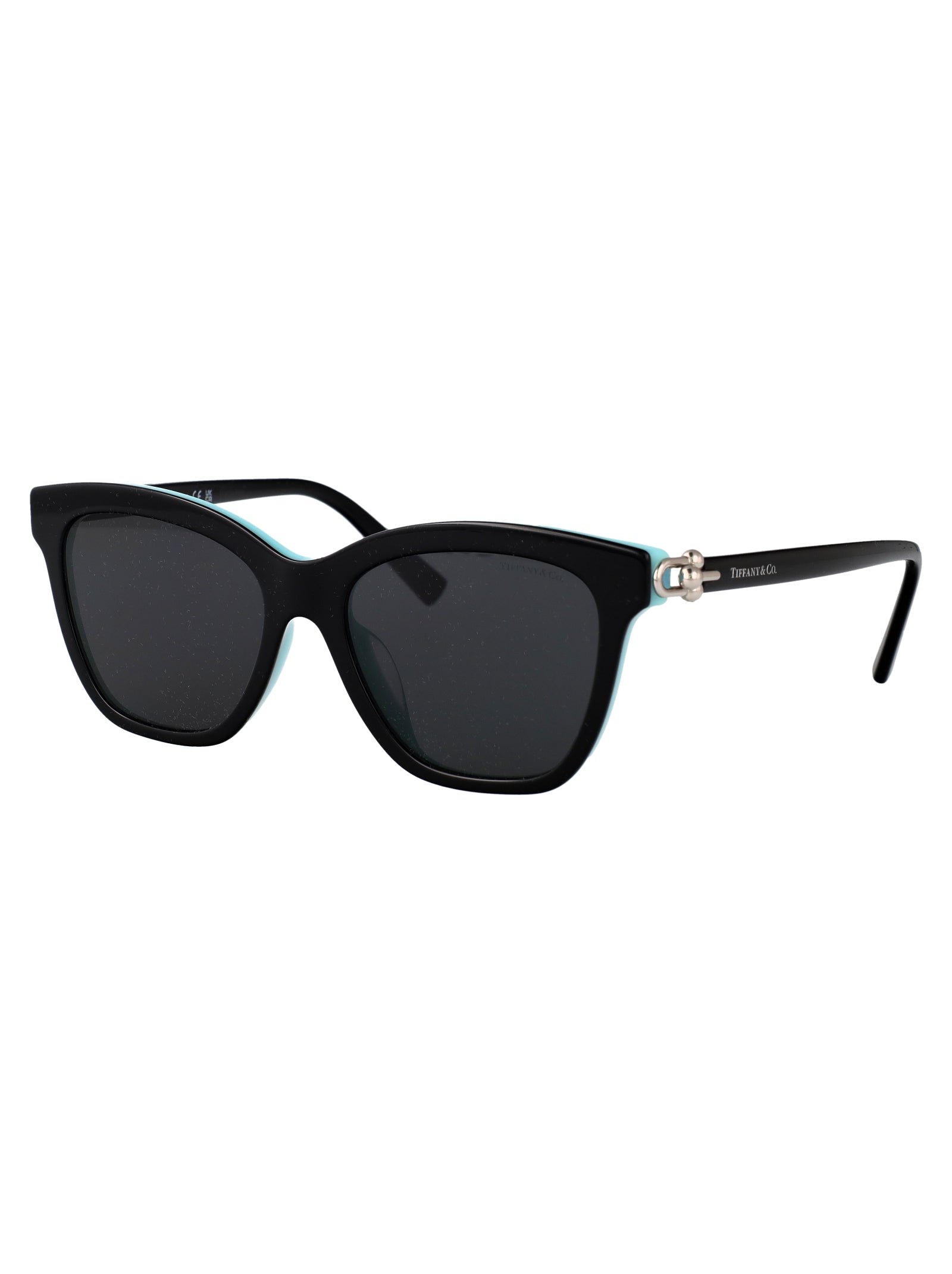 TIFFANY & CO Acetate Sunglasses for Women - SS25 Collection