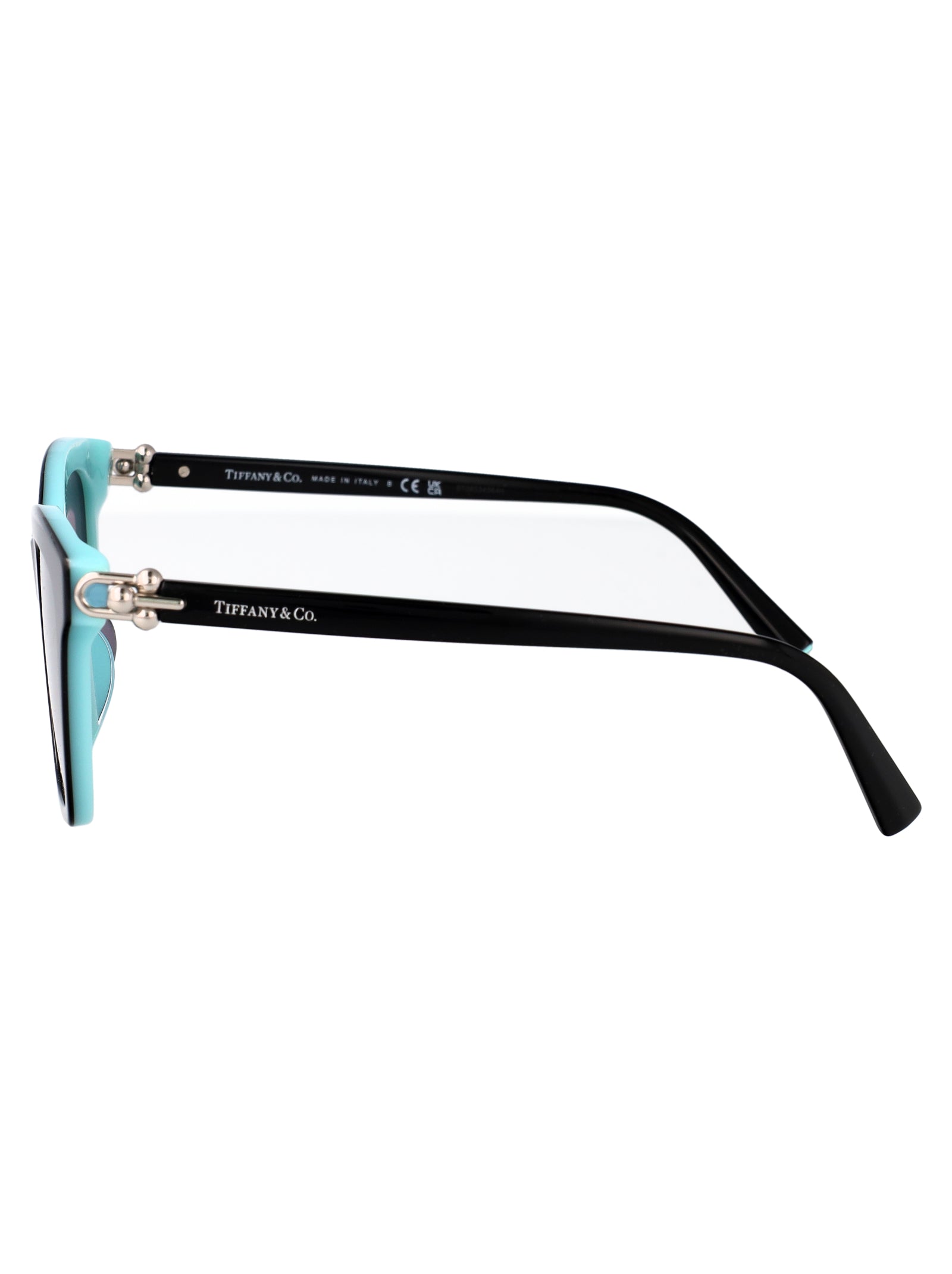 TIFFANY & CO Acetate Sunglasses for Women - SS25 Collection