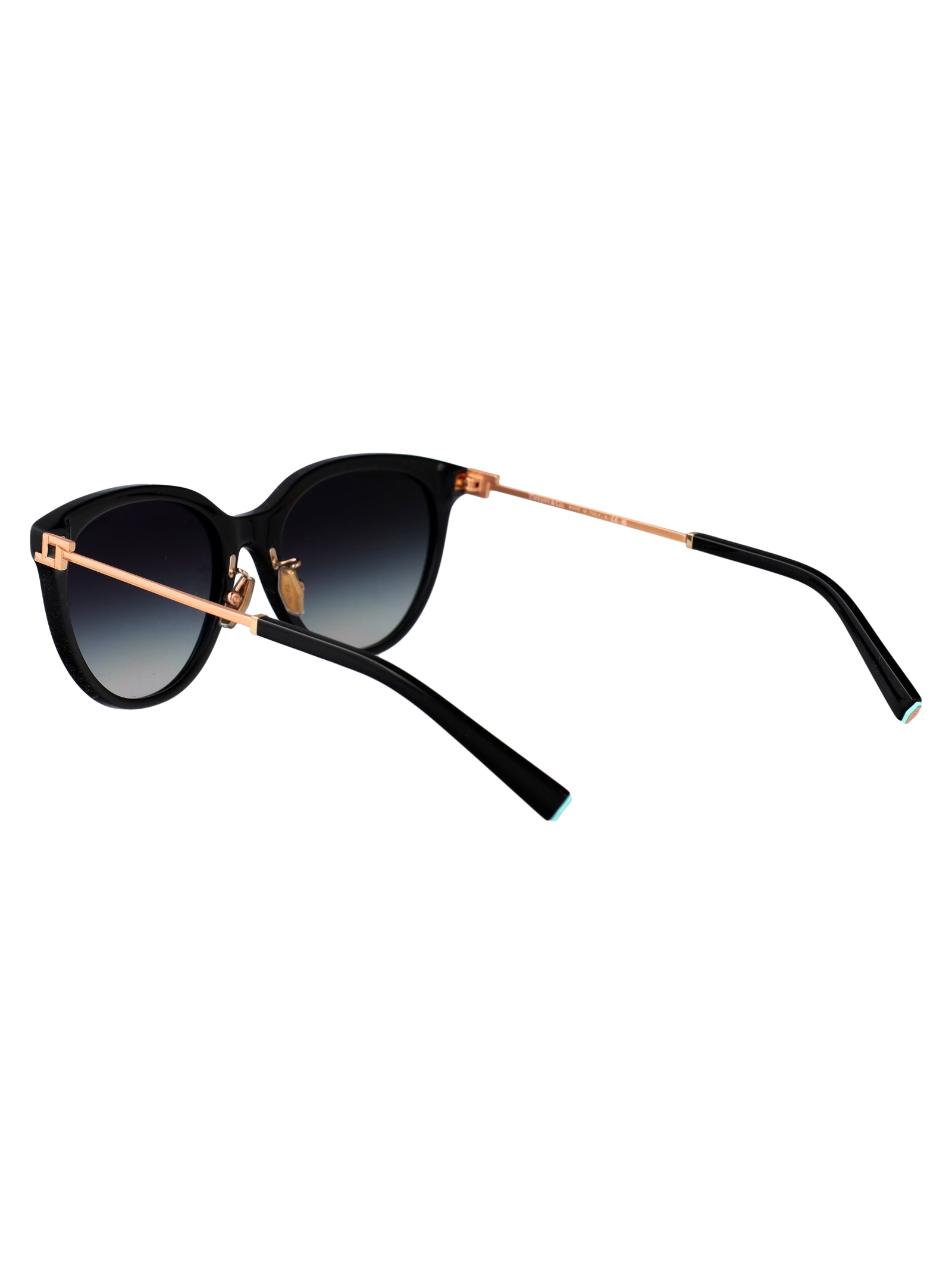 TIFFANY & CO Chic Acetate Sunglasses for Women