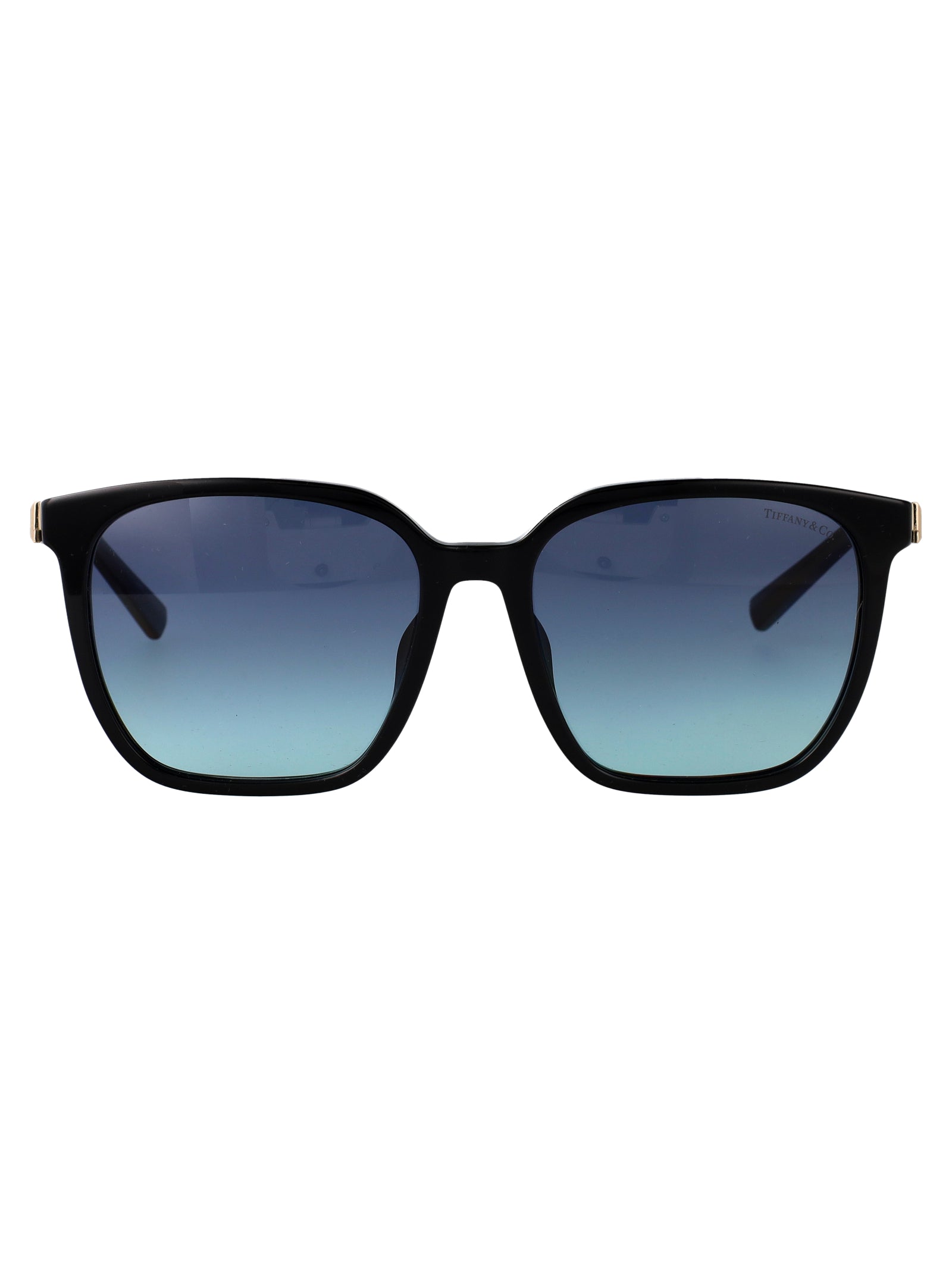 TIFFANY & CO Chic Acetate Sunglasses for Women - SS25 Collection