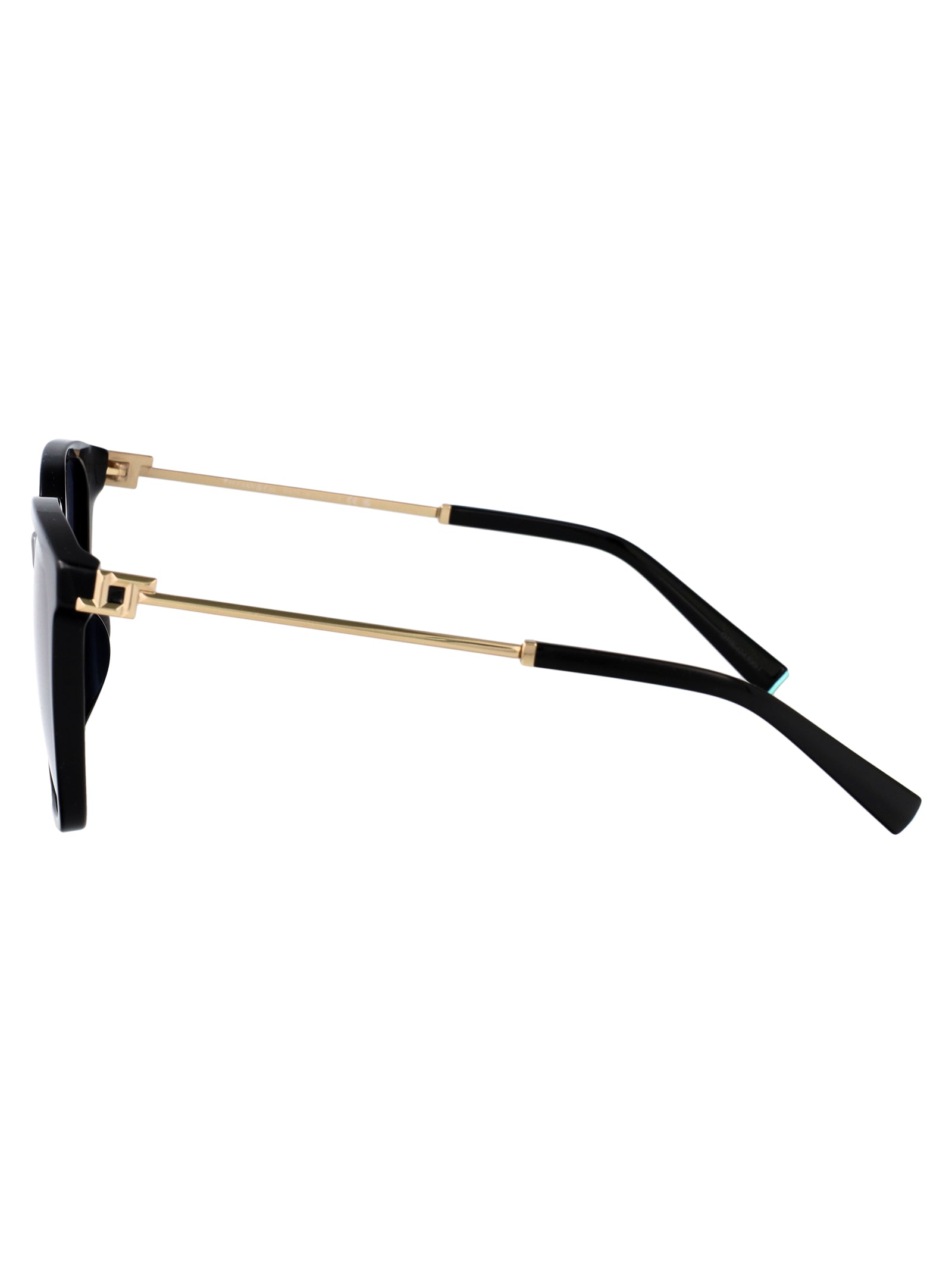 TIFFANY & CO Chic Acetate Sunglasses for Women - SS25 Collection