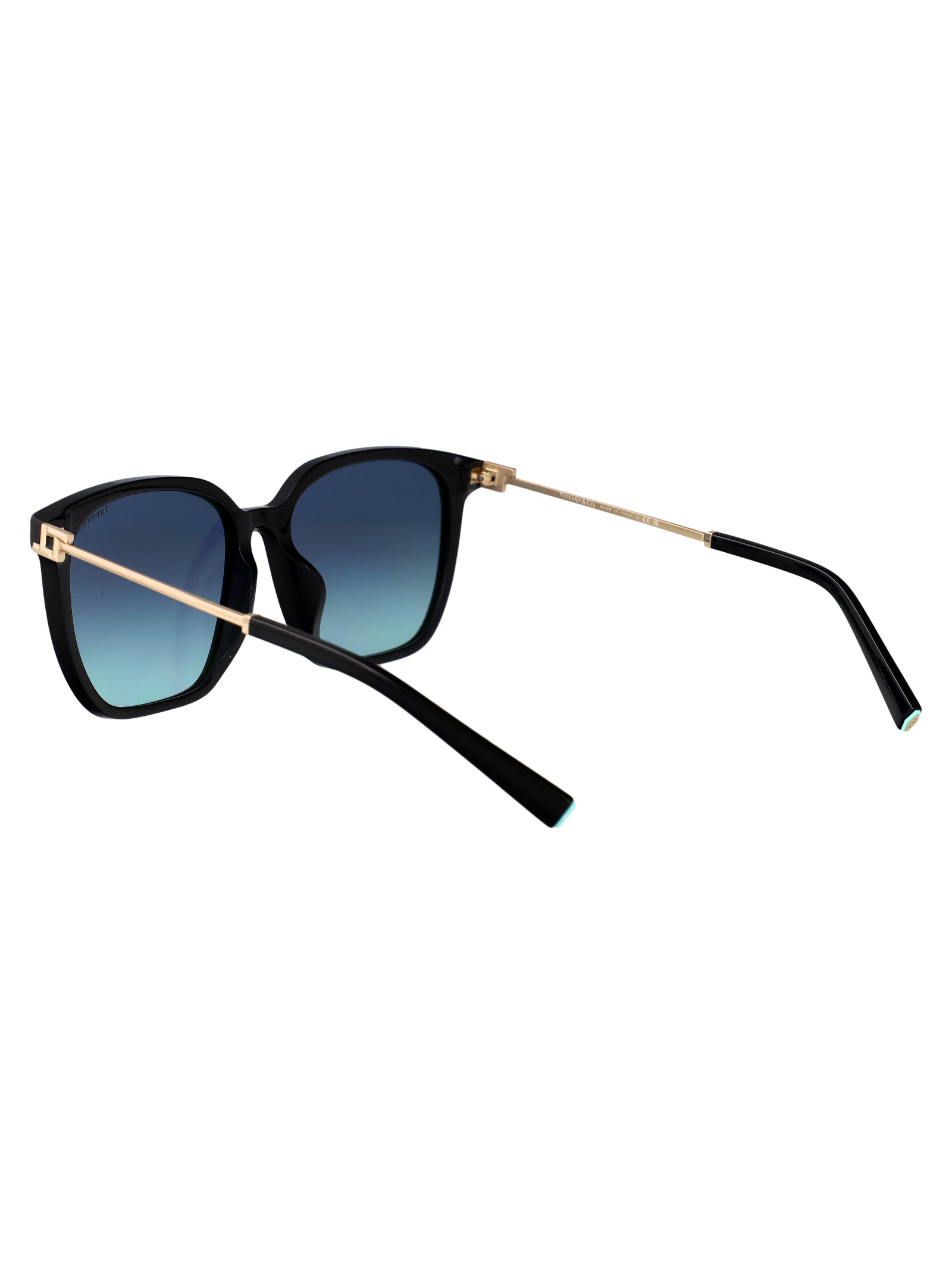 TIFFANY & CO Chic Acetate Sunglasses for Women - SS25 Collection
