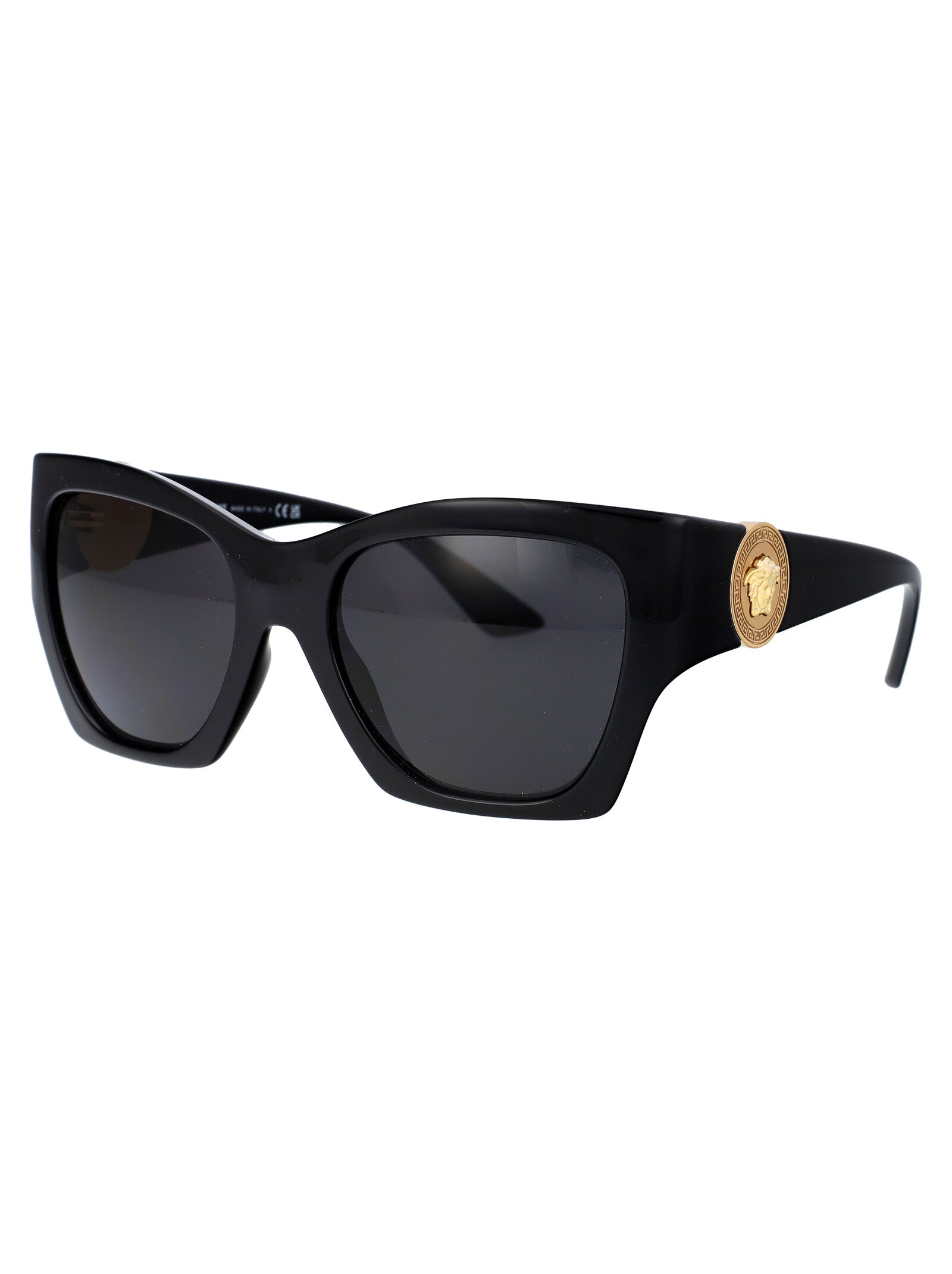 VERSACE Injected Women's Oversized Sunglasses