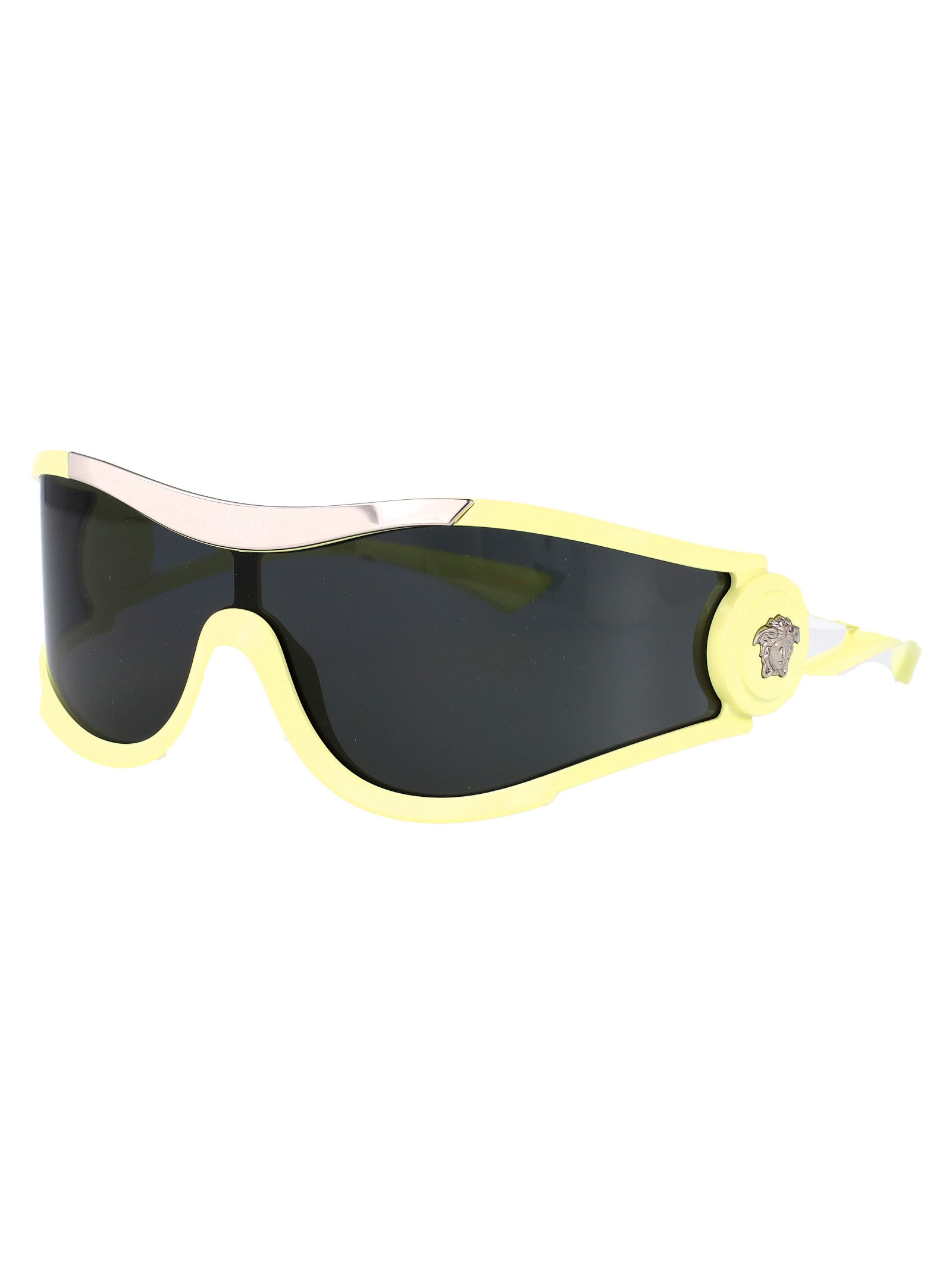 VERSACE Injected Unisex Sunglasses