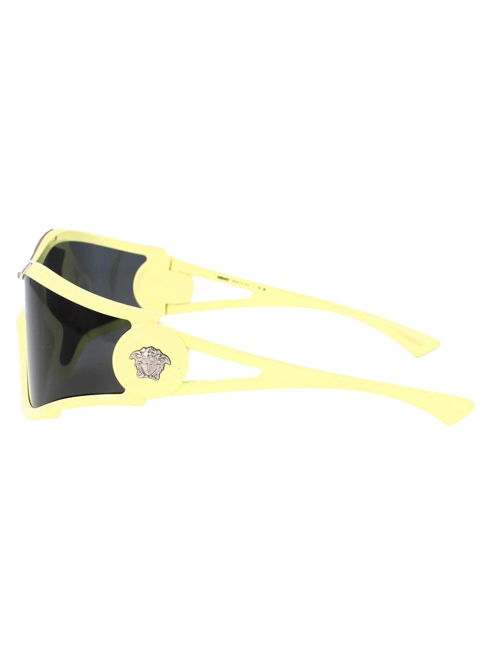 VERSACE Injected Unisex Sunglasses